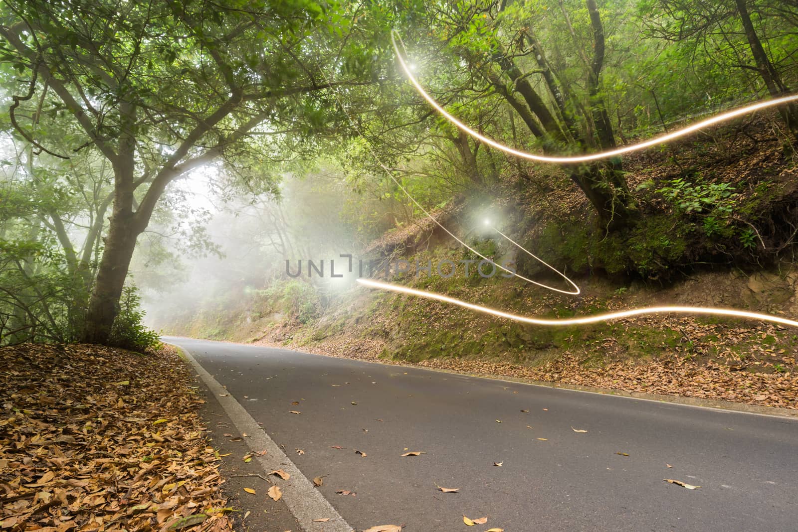 Road in the magic forest, light trails through the myst, fairy tale scenary, version 2. by HERRAEZ
