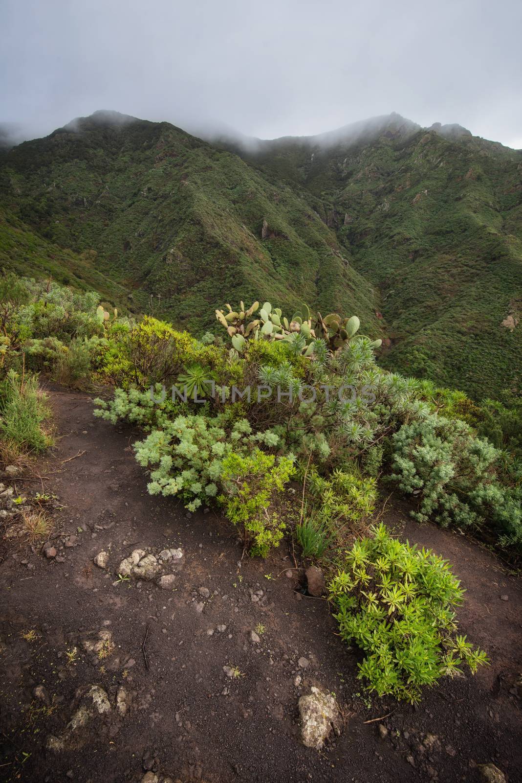 Anaga mountains in Tenerife island, Canary islands, Spain. by HERRAEZ