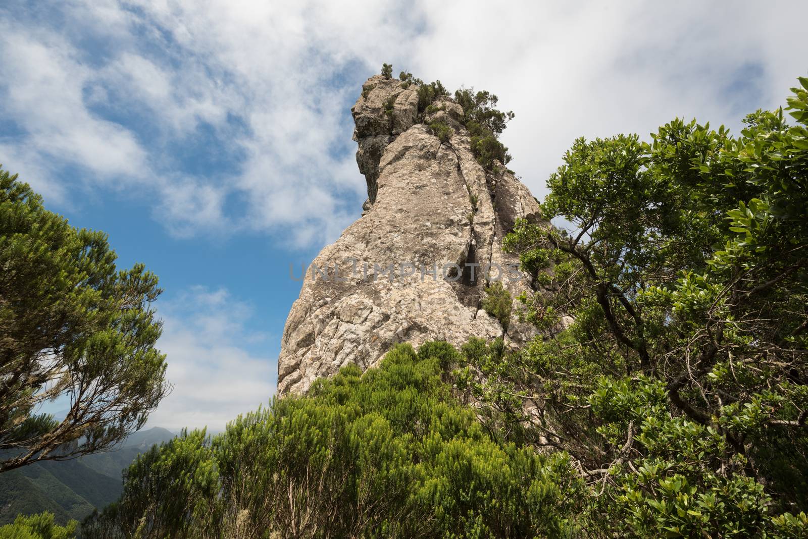 Roque Anambro in Anaga rain forest, Tenerife island, Canary islands, Spain.