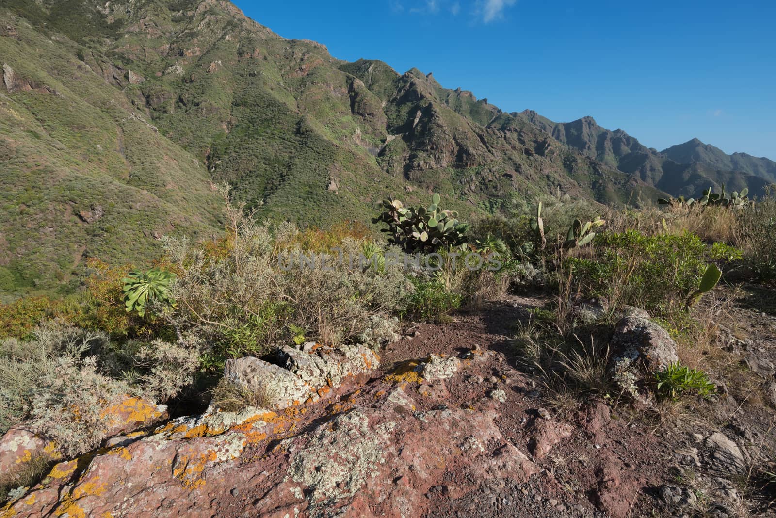 Volcanic landscape in Anaga mountains, Tenerife, Canary islands, Spain.