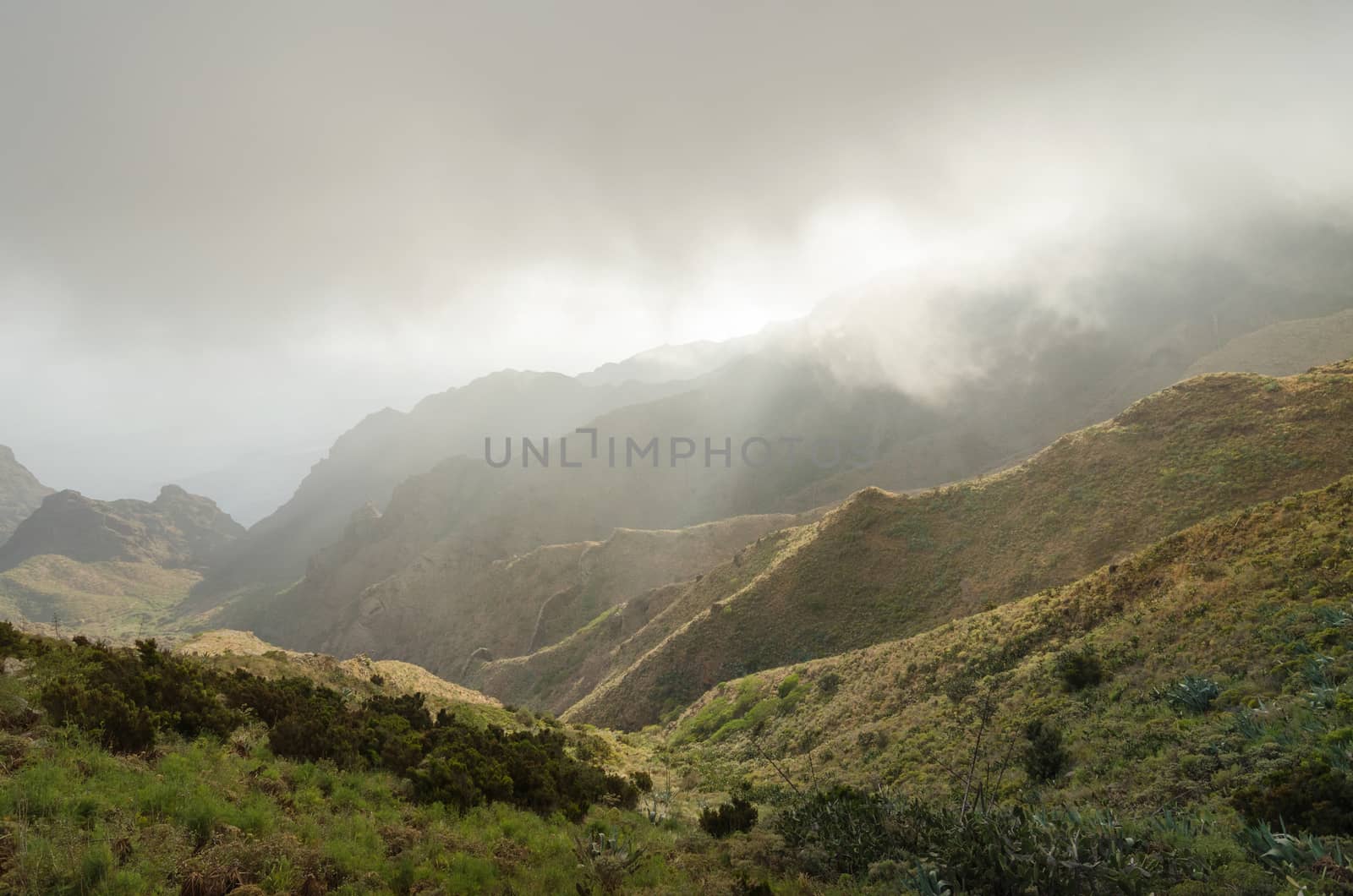 Misty landscape in Tenerife canyons, Tenerife, Canary islands, Spain. by HERRAEZ