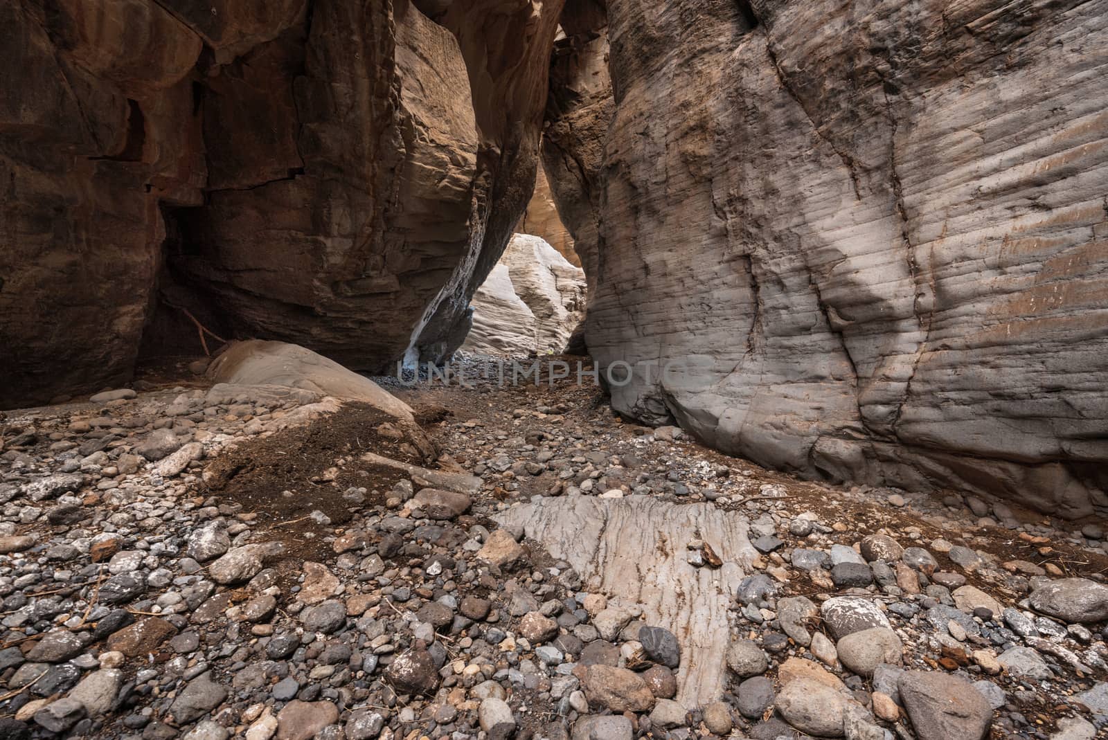 Scenic canyon Barranco Bermeja, volcanic rock canyon in Tenerife, Canary islands, Spain. by HERRAEZ