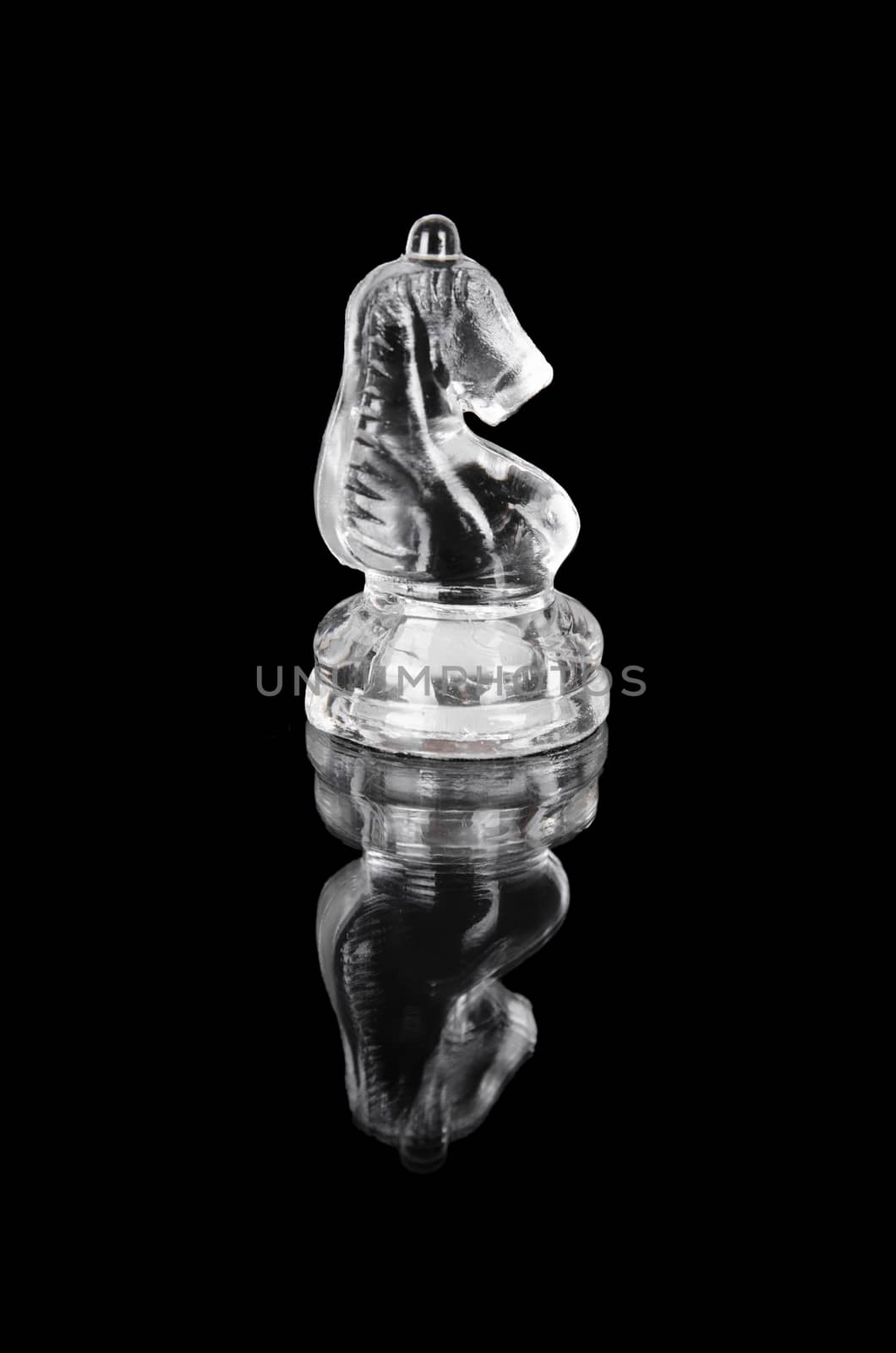 Glass chess knight on black isolated background.