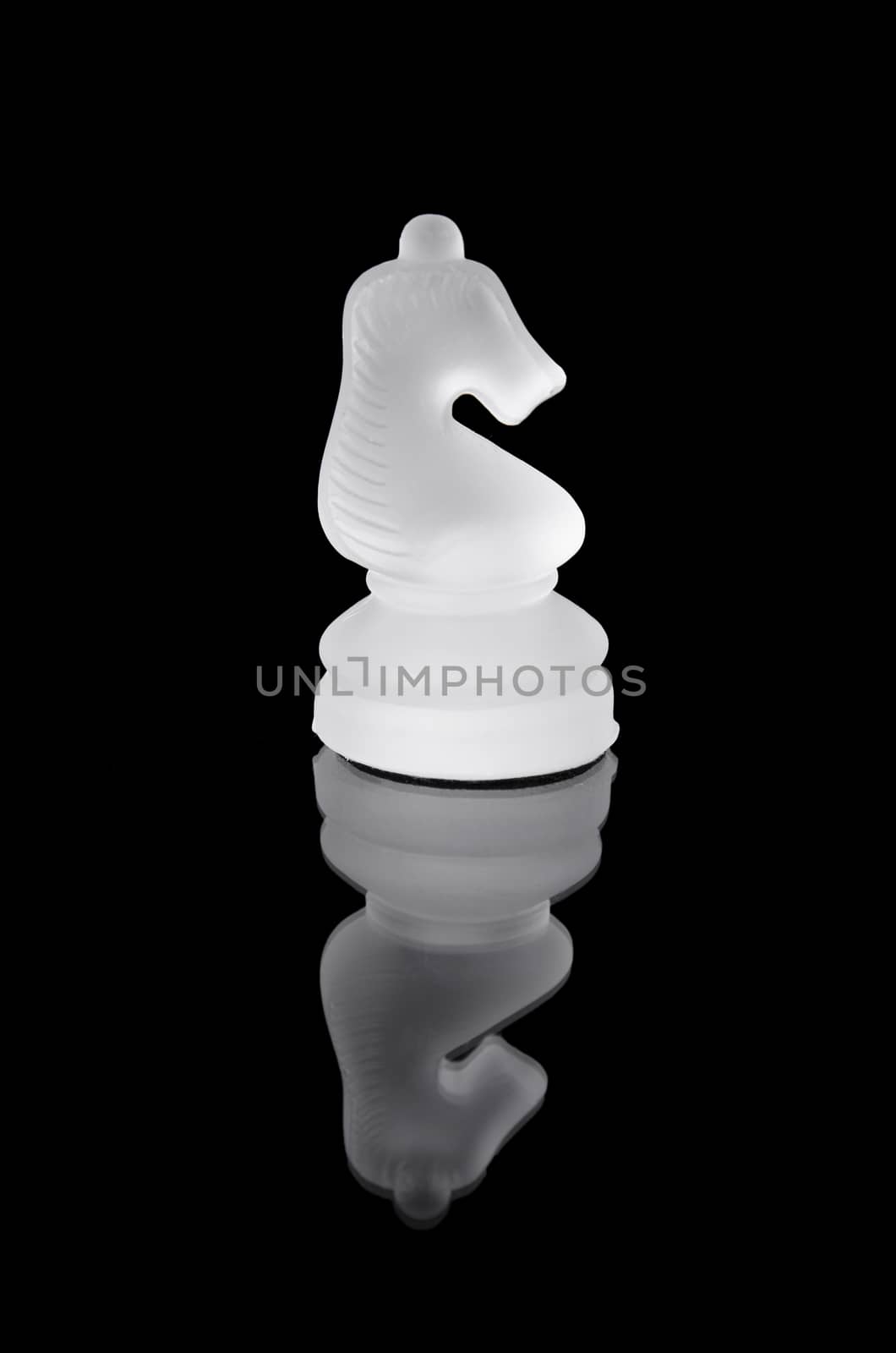 Glass chess knight on black isolated background. by HERRAEZ