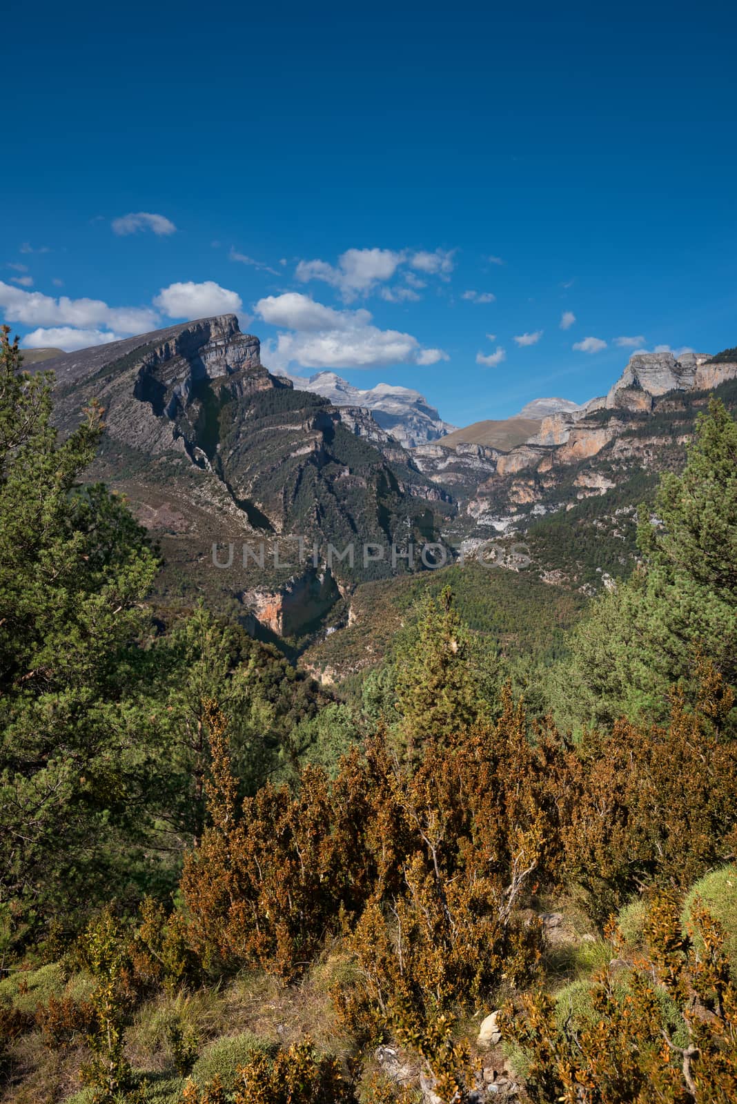 Anisclo canyon in Huesca, Aragon pyrenees, Spain. by HERRAEZ