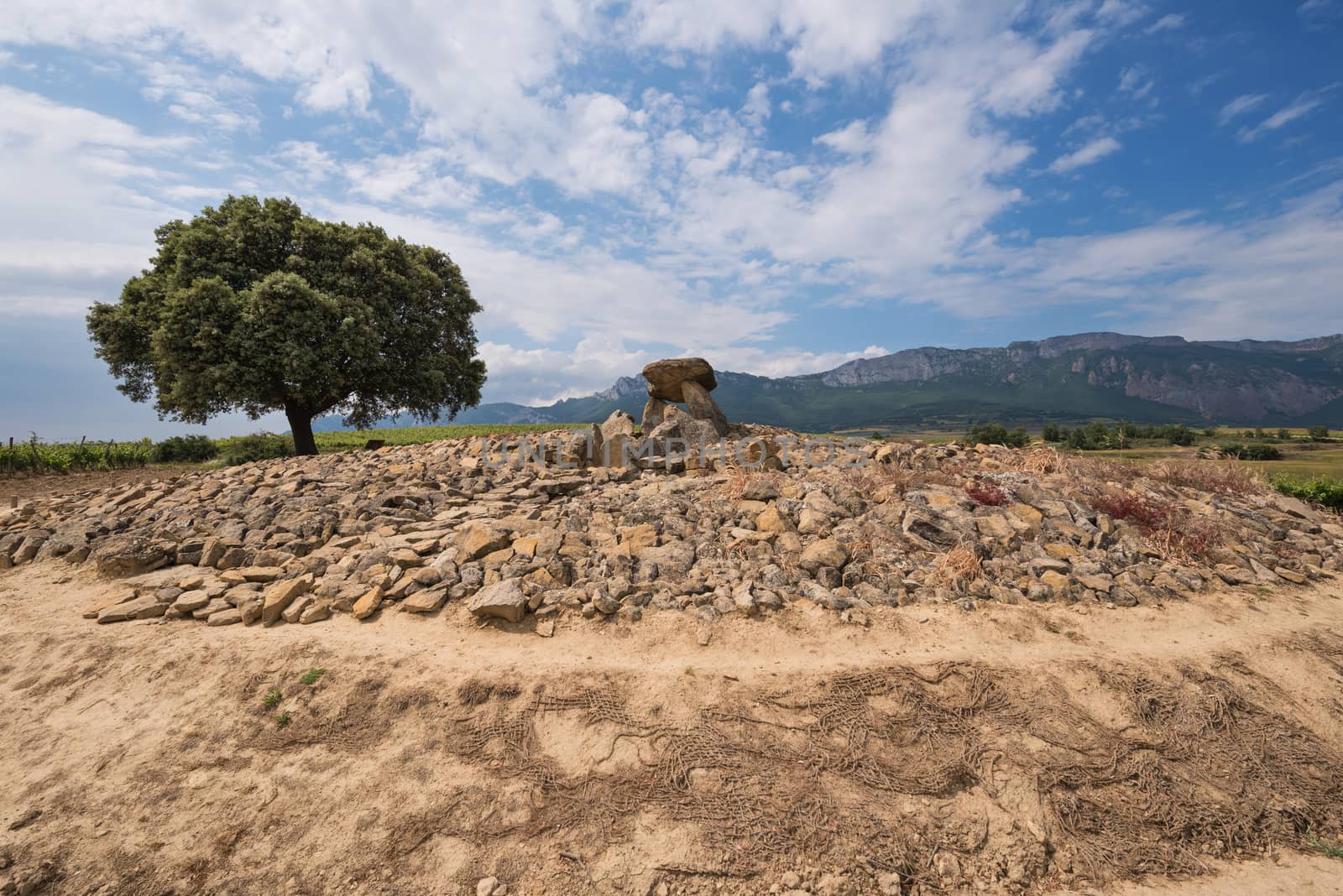 Megalithic Dolmen Chabola de la Hechicera, in La Guardia, Basque Country, Spain. by HERRAEZ