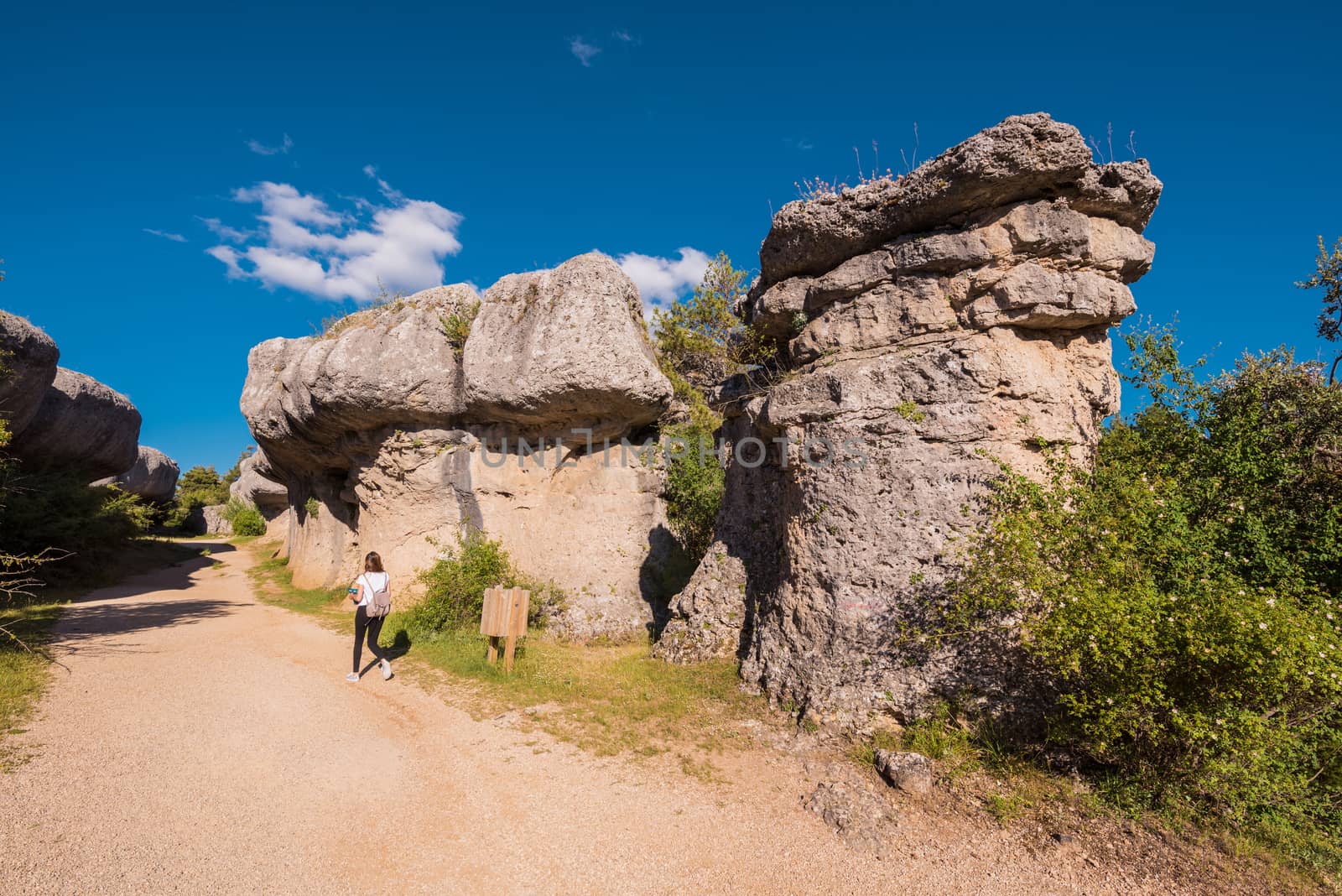 La Ciudad encantada. The enchanted city natural park, group of crapicious forms limestone rocks in Cuenca, Spain. by HERRAEZ