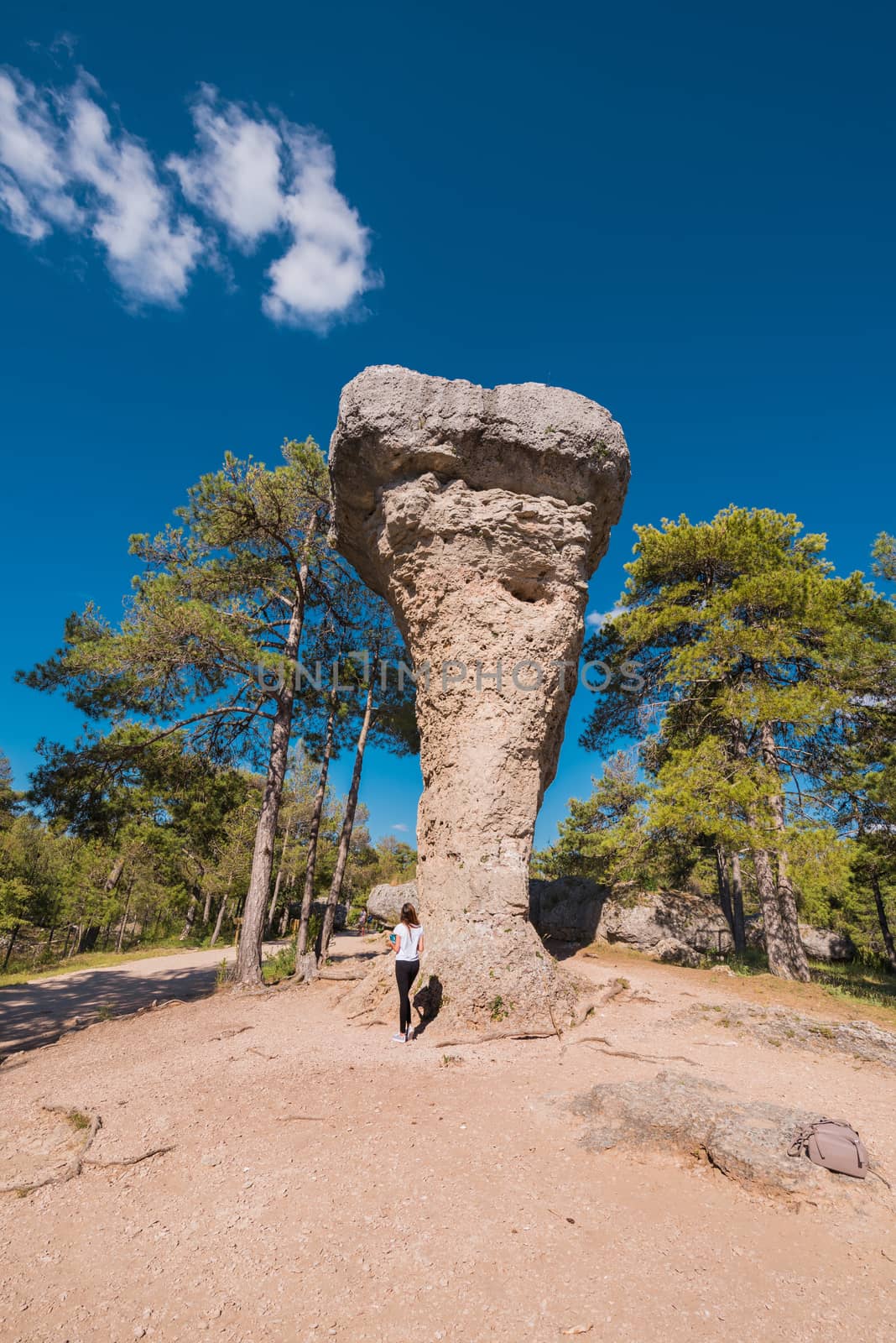 La Ciudad encantada. The enchanted city natural park, group of crapicious forms limestone rocks in Cuenca, Spain. by HERRAEZ