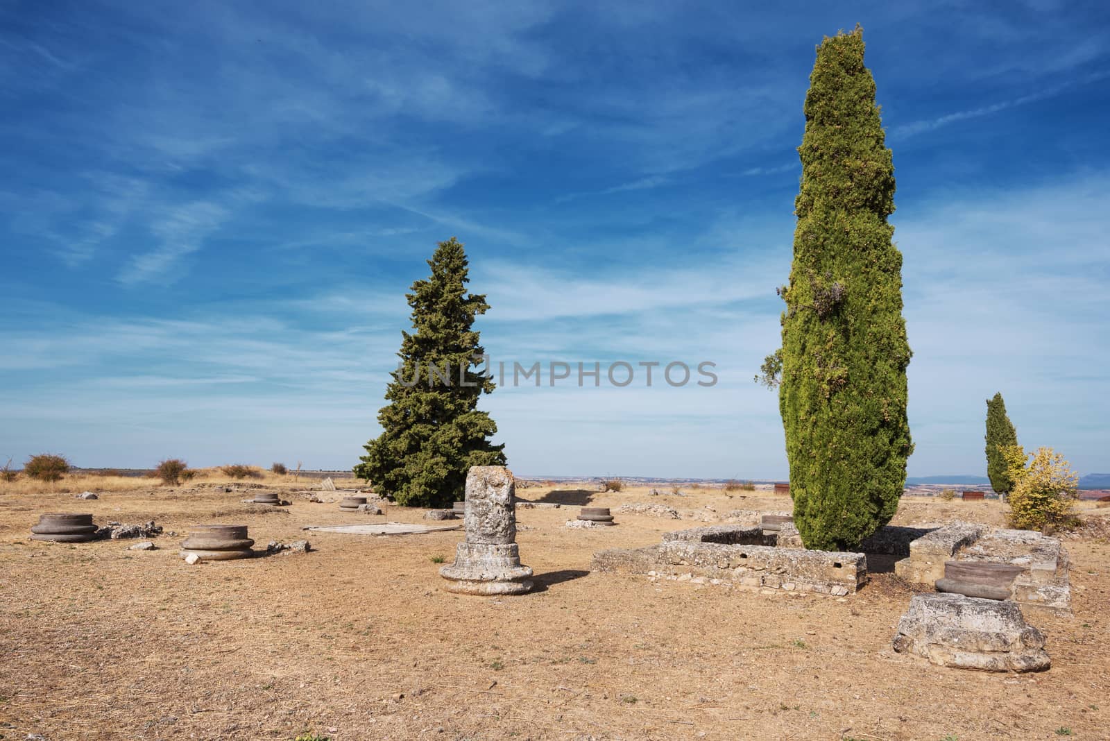 Ruins of the ancient roman colony Clunia Sulpicia, in Burgos, Spain. by HERRAEZ