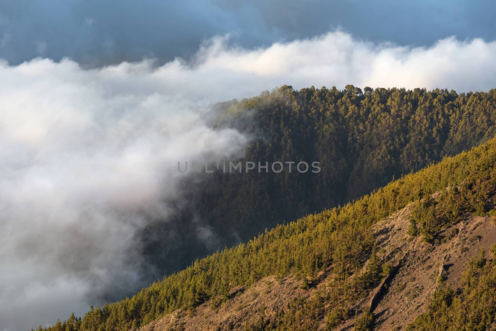 Sea of clouds in volcanic landscape of Teide national park, Tenerife, Canary islands, Spain. by HERRAEZ