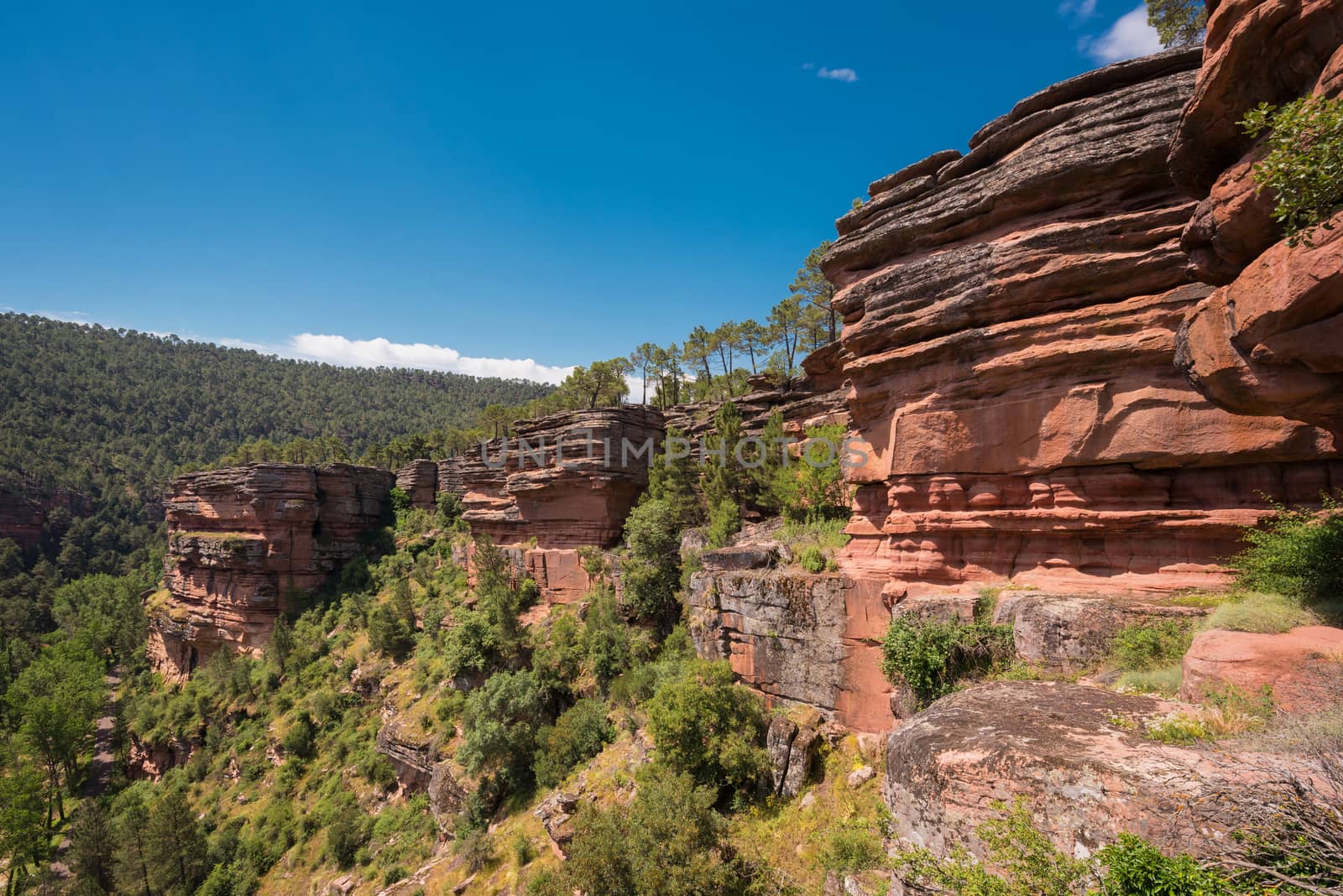 River Gallo canyon in Guadalajara, Spain. by HERRAEZ