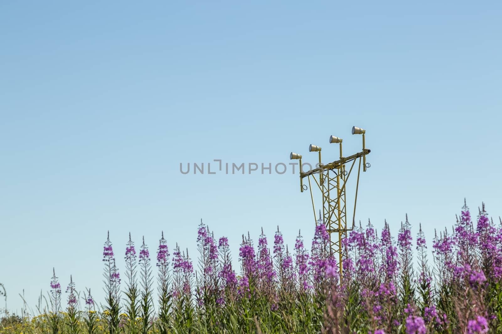 Airport Approach Light System with Fireweed and blue sky.