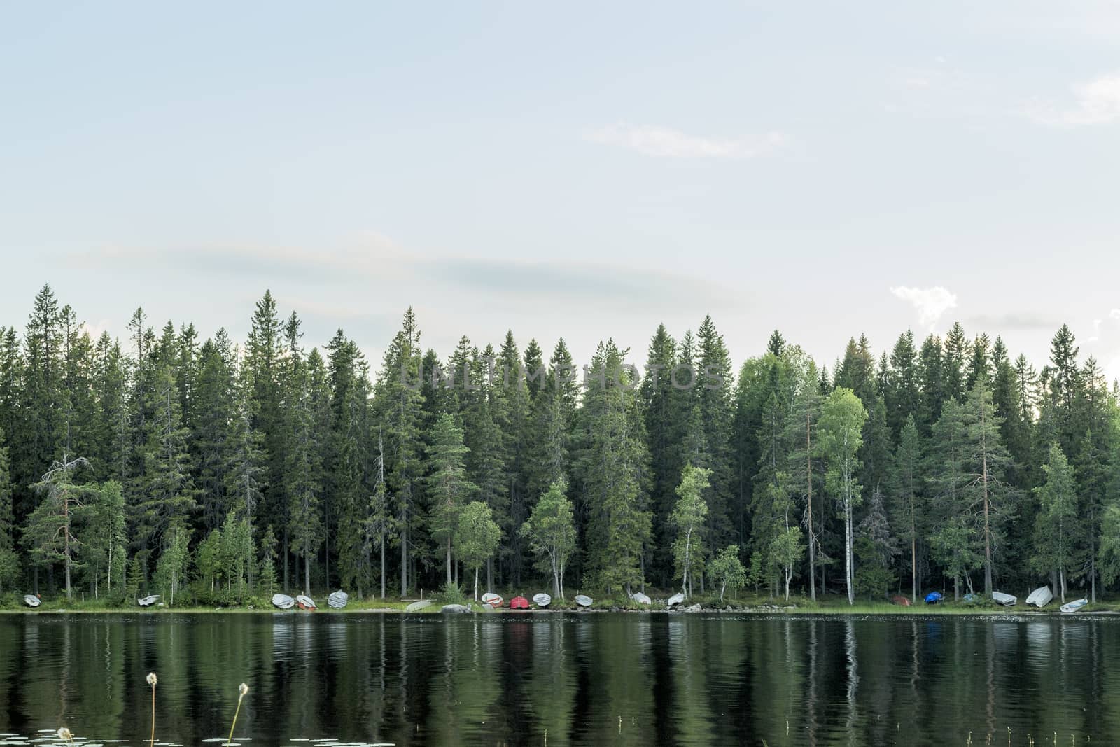 Rowboats by Lake with forest and sky.