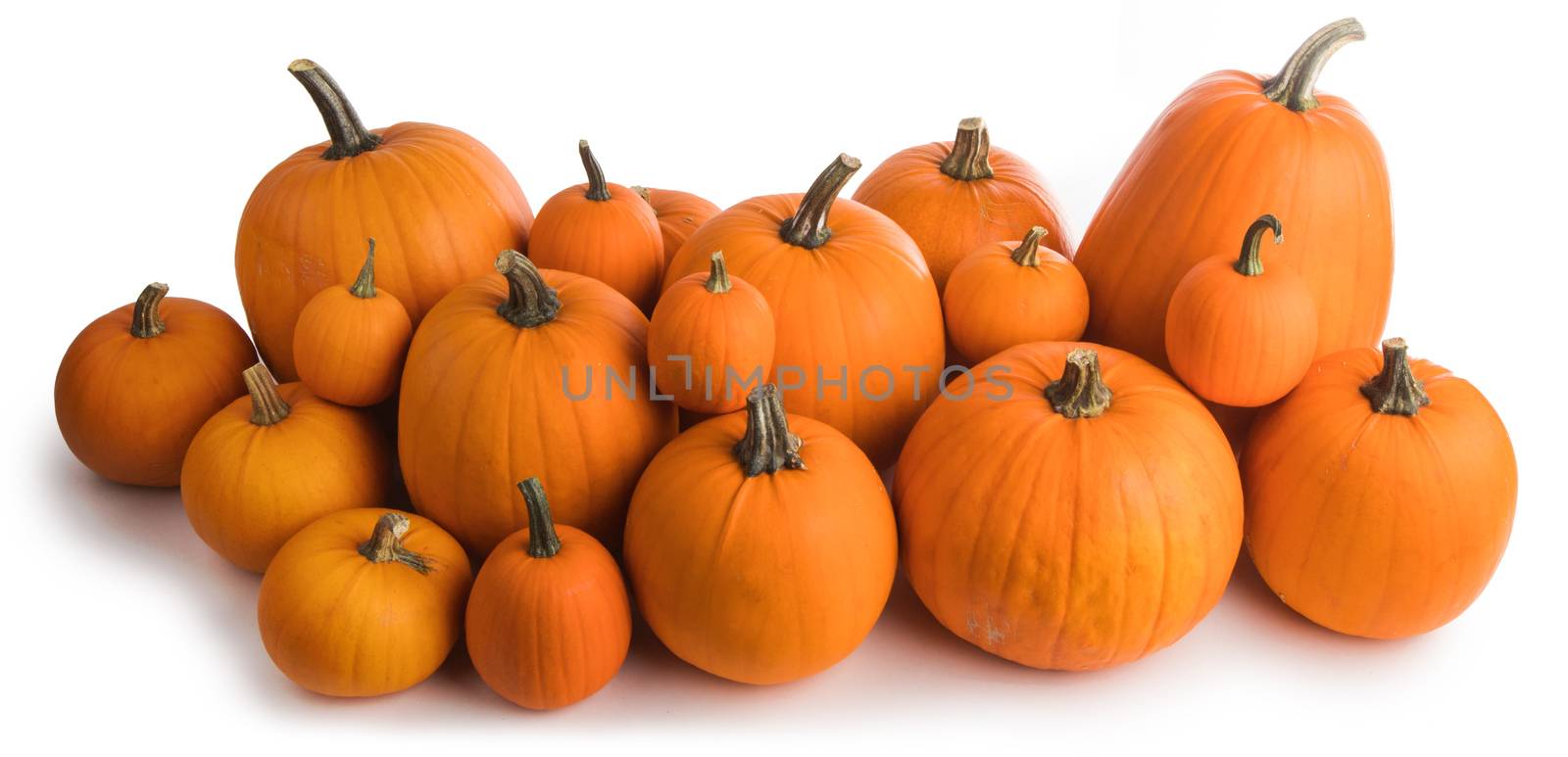 Many orange pumpkins by Yellowj