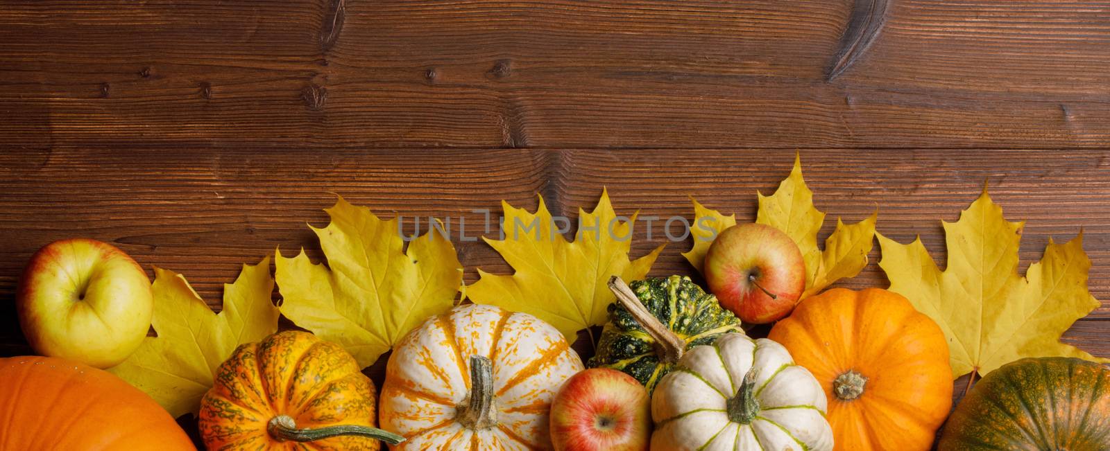 Pumpkins on wooden background by Yellowj