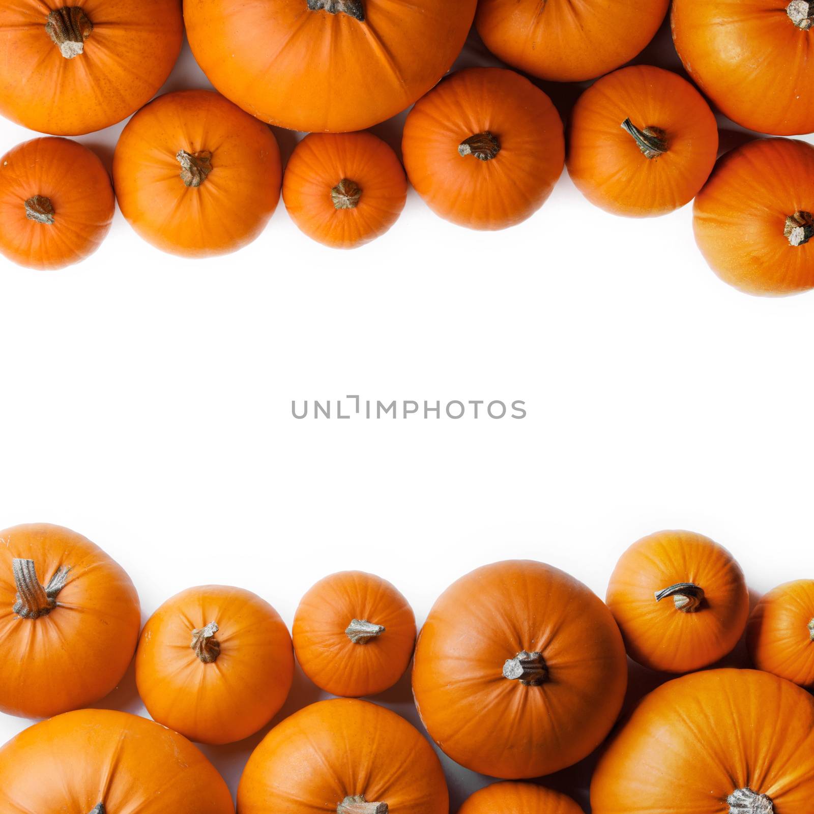 Many orange pumpkins frame isolated on white background, autumn harvest, Halloween or Thanksgiving concept