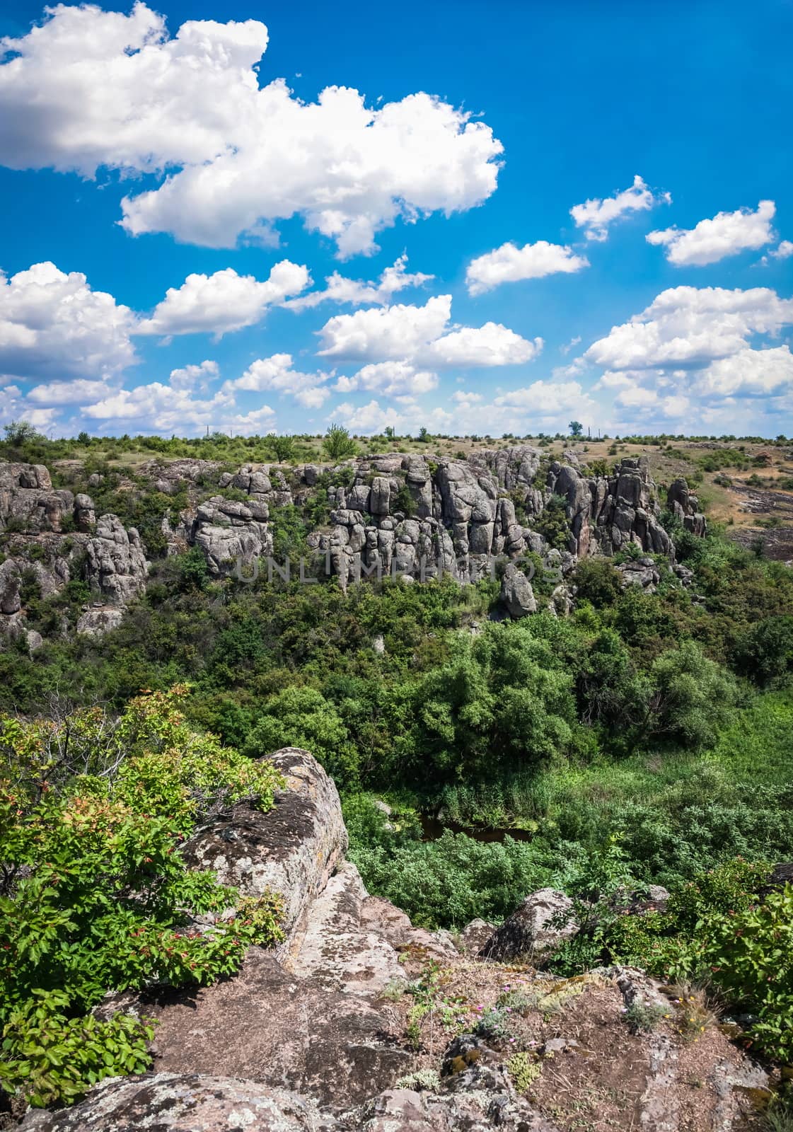 Panoramic view of deep granite Aktovo canyon with river and cloudy sky, One of the natural wonders of Ukraine.