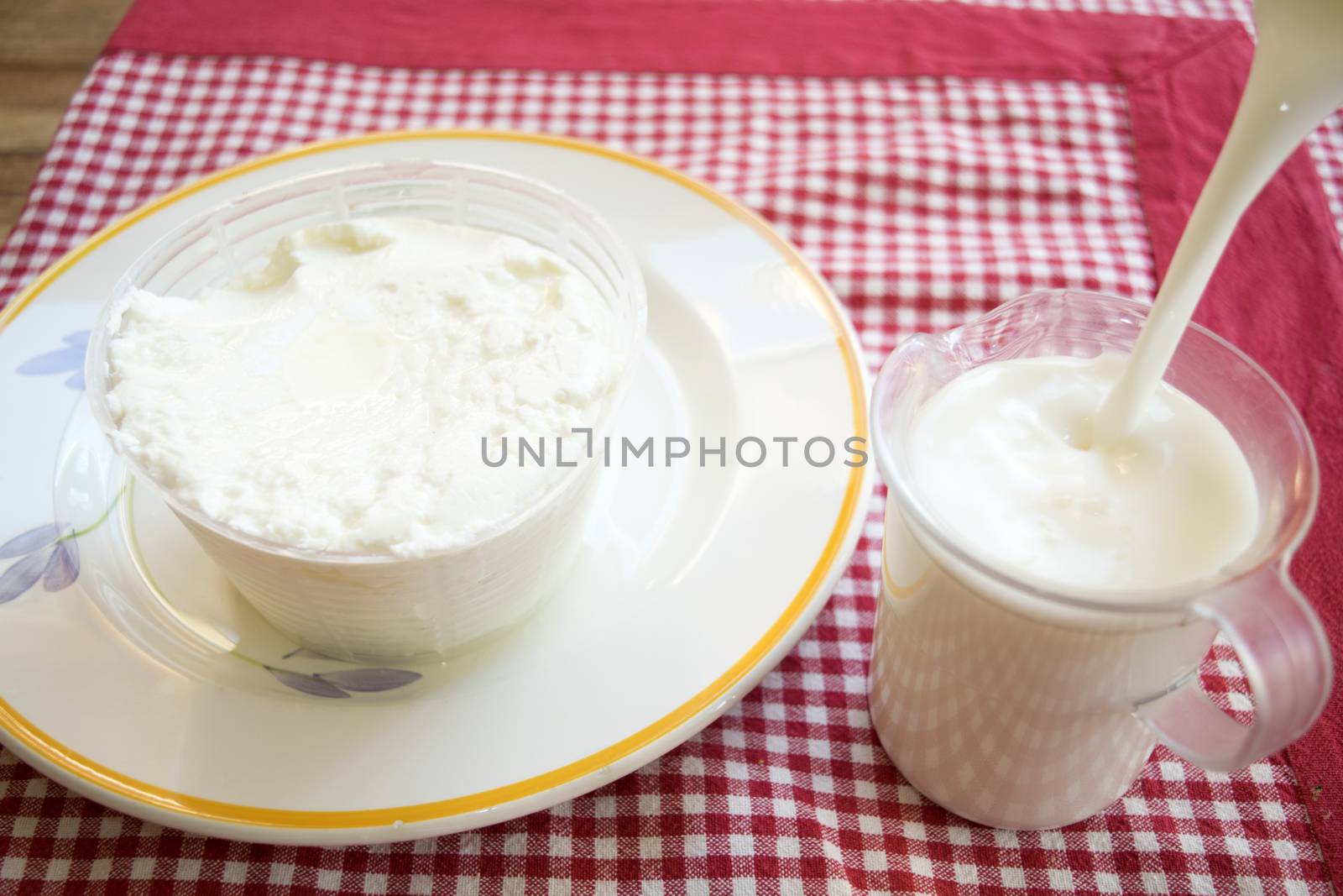 fresh italian ricotta cheese in a plastic mould on a dish