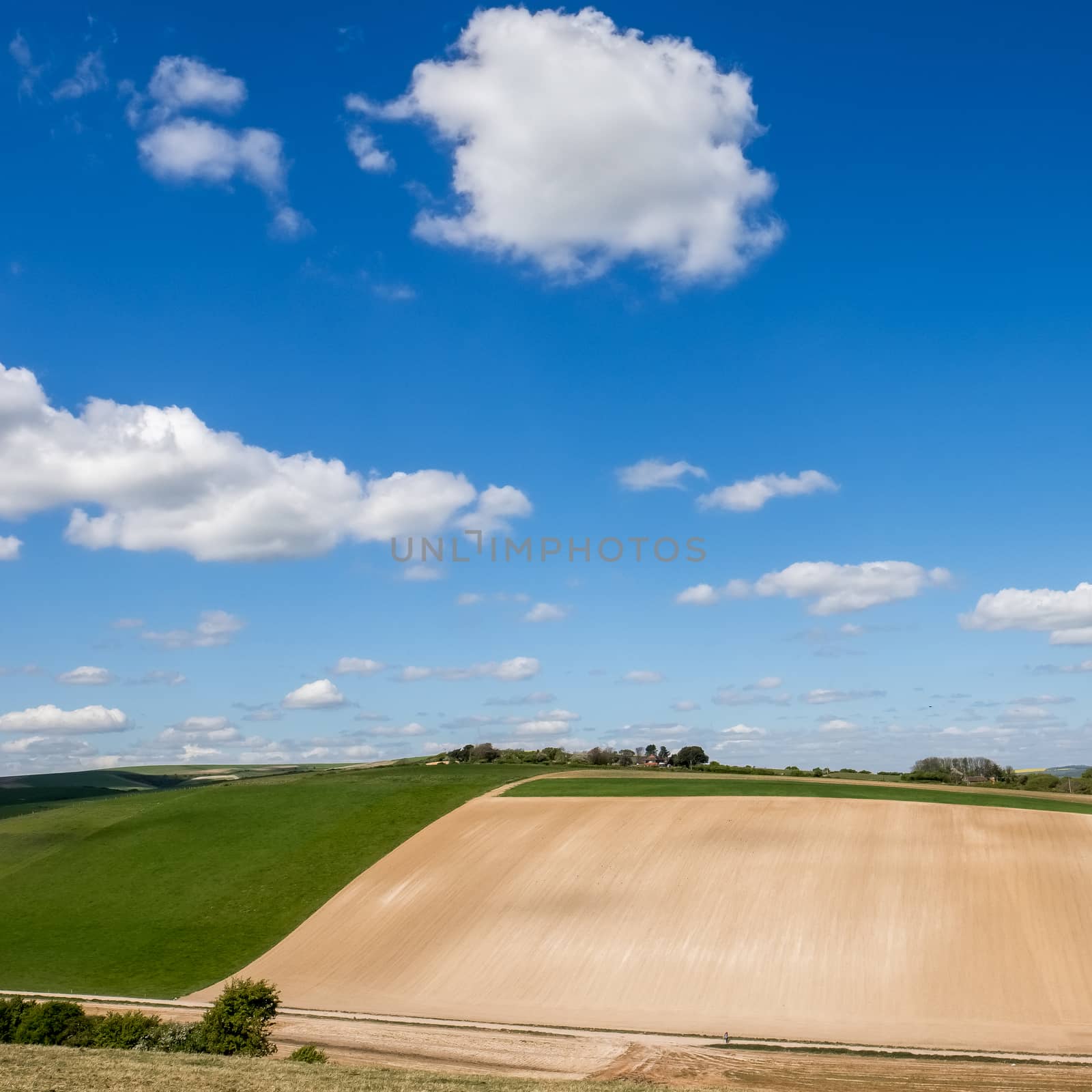 Scenic View of the Rolling Sussex Countryside by phil_bird