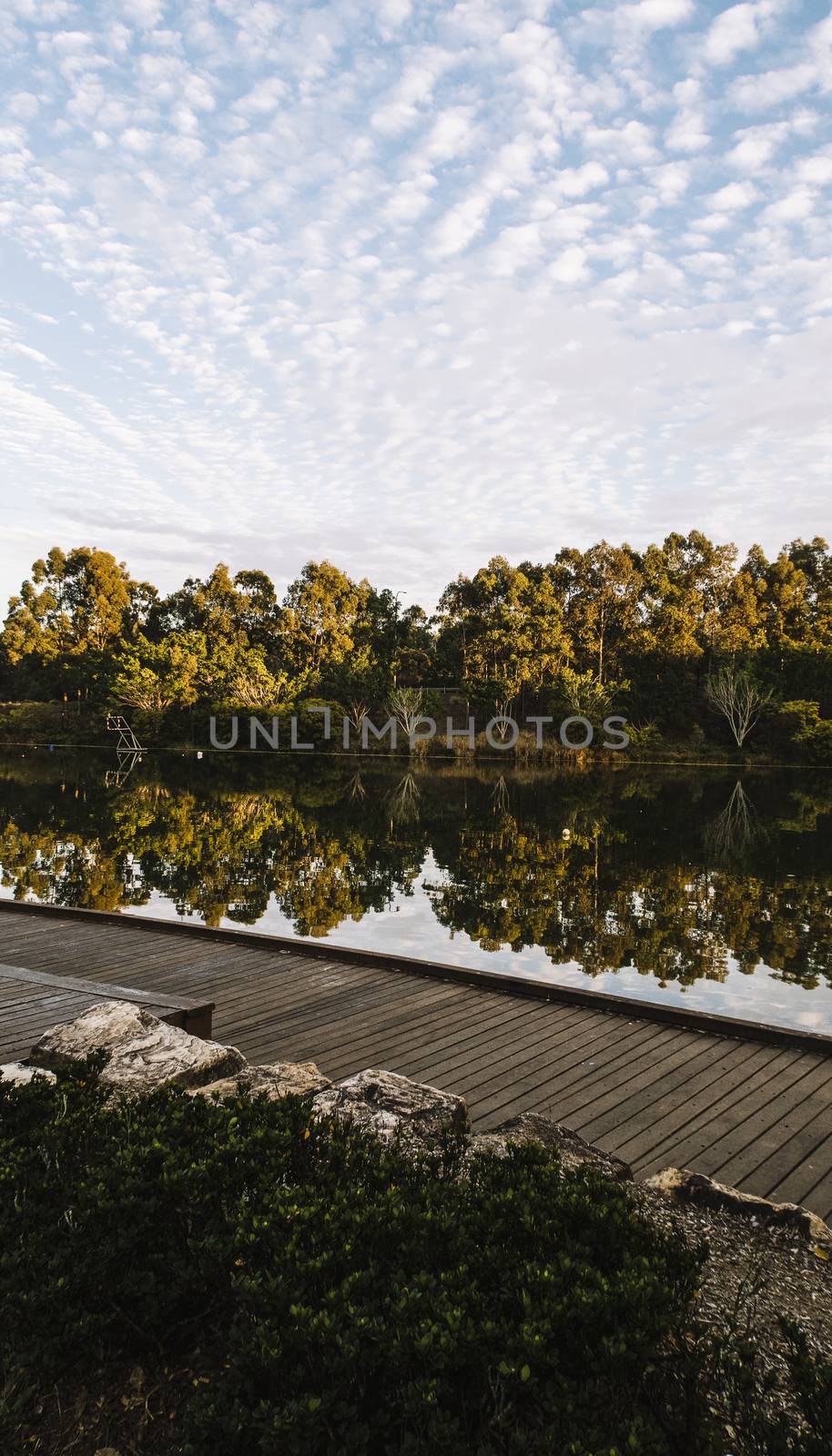 Beautiful lake in Springfield Lakes, Ipswich City, Queensland in the morning.