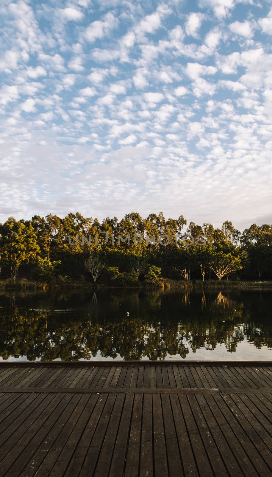 Beautiful lake in Springfield Lakes, Ipswich City, Queensland in the morning.