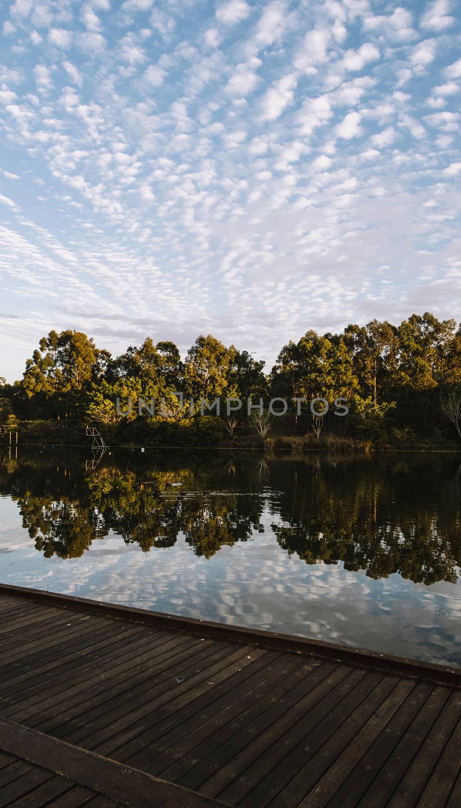 Beautiful lake in Springfield Lakes, Ipswich City, Queensland in the morning.