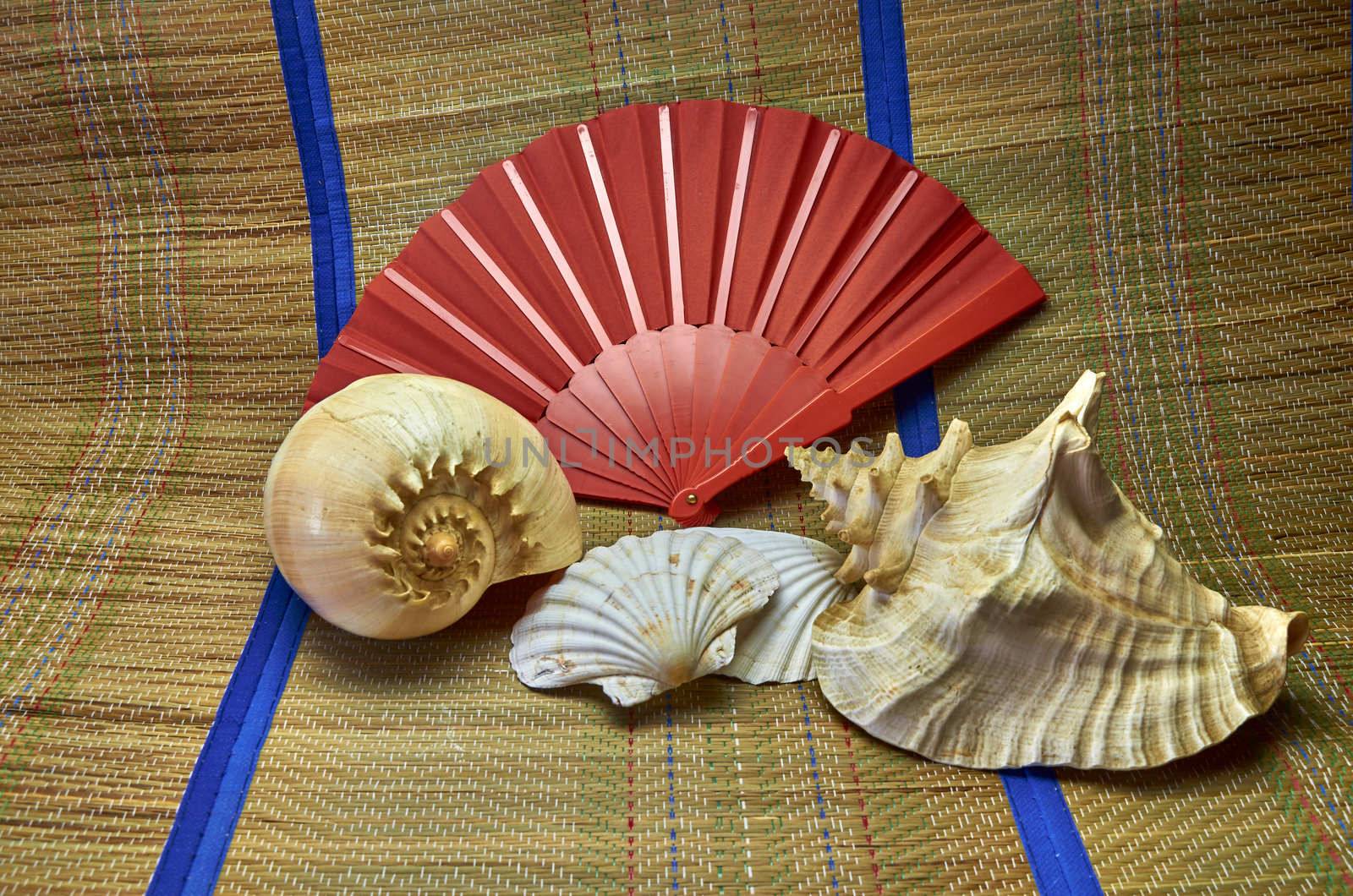 Sea shells on a beach mat with a fan