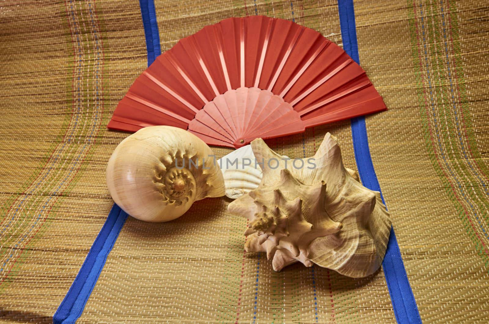 Sea shells on a beach mat with a fan