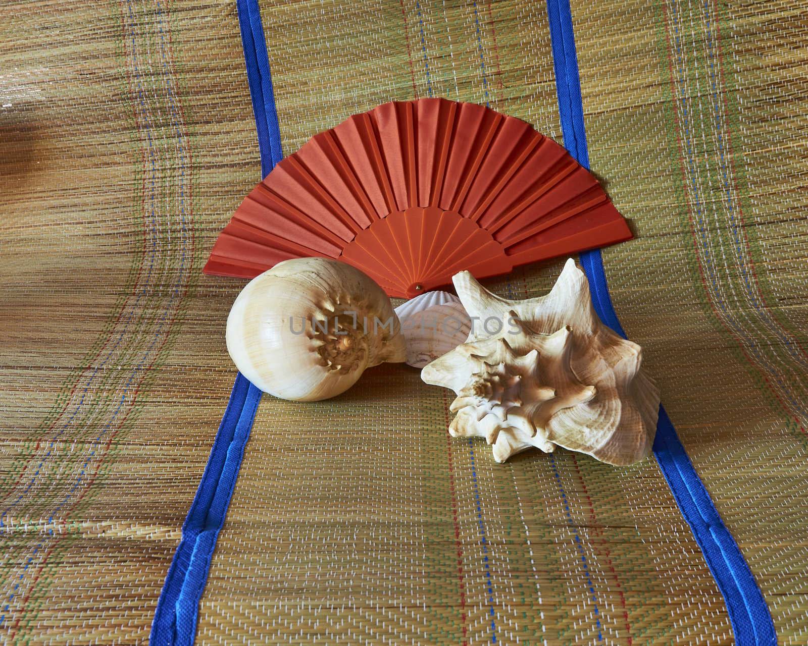 Sea shells on a beach mat with a fan