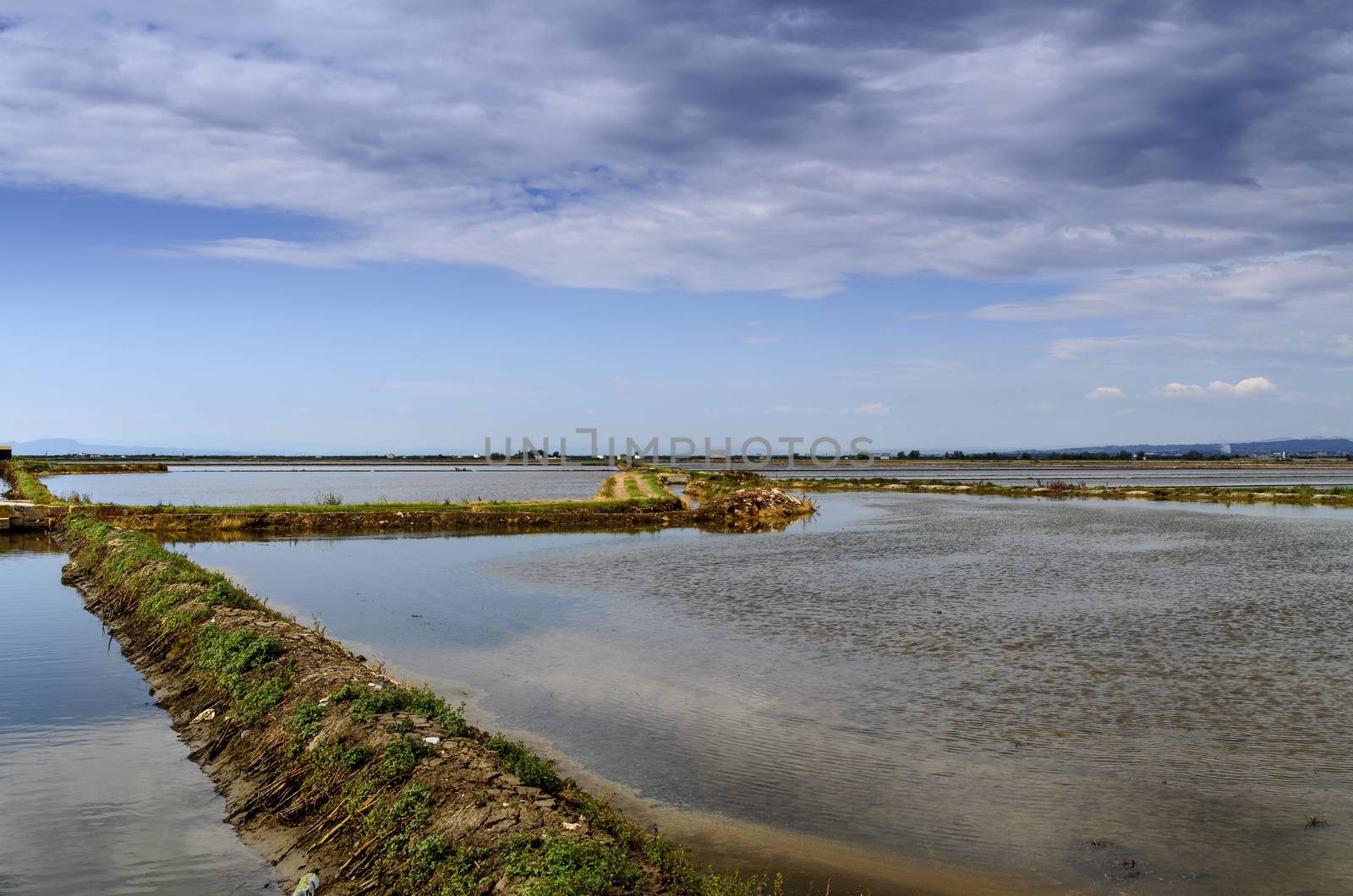 Rice fields in Valencia, called La Marchal named after the boundaries of each field that are called marches