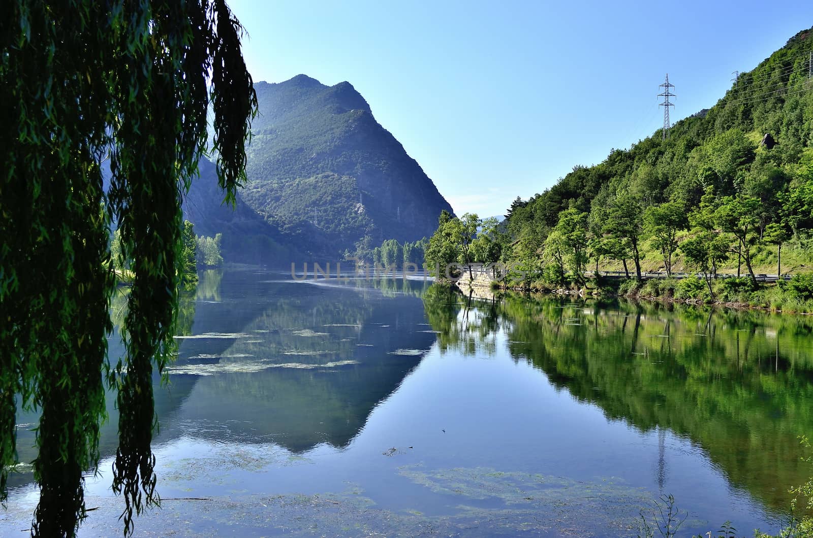 Swamp of Oliana River Segre