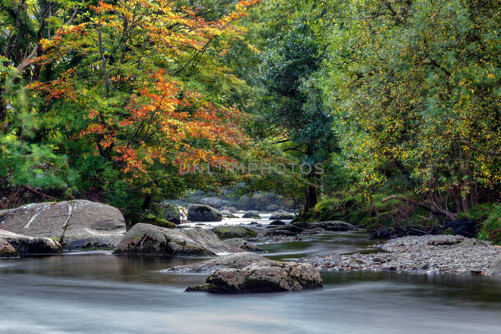 View along the Glaslyn River in Autumn