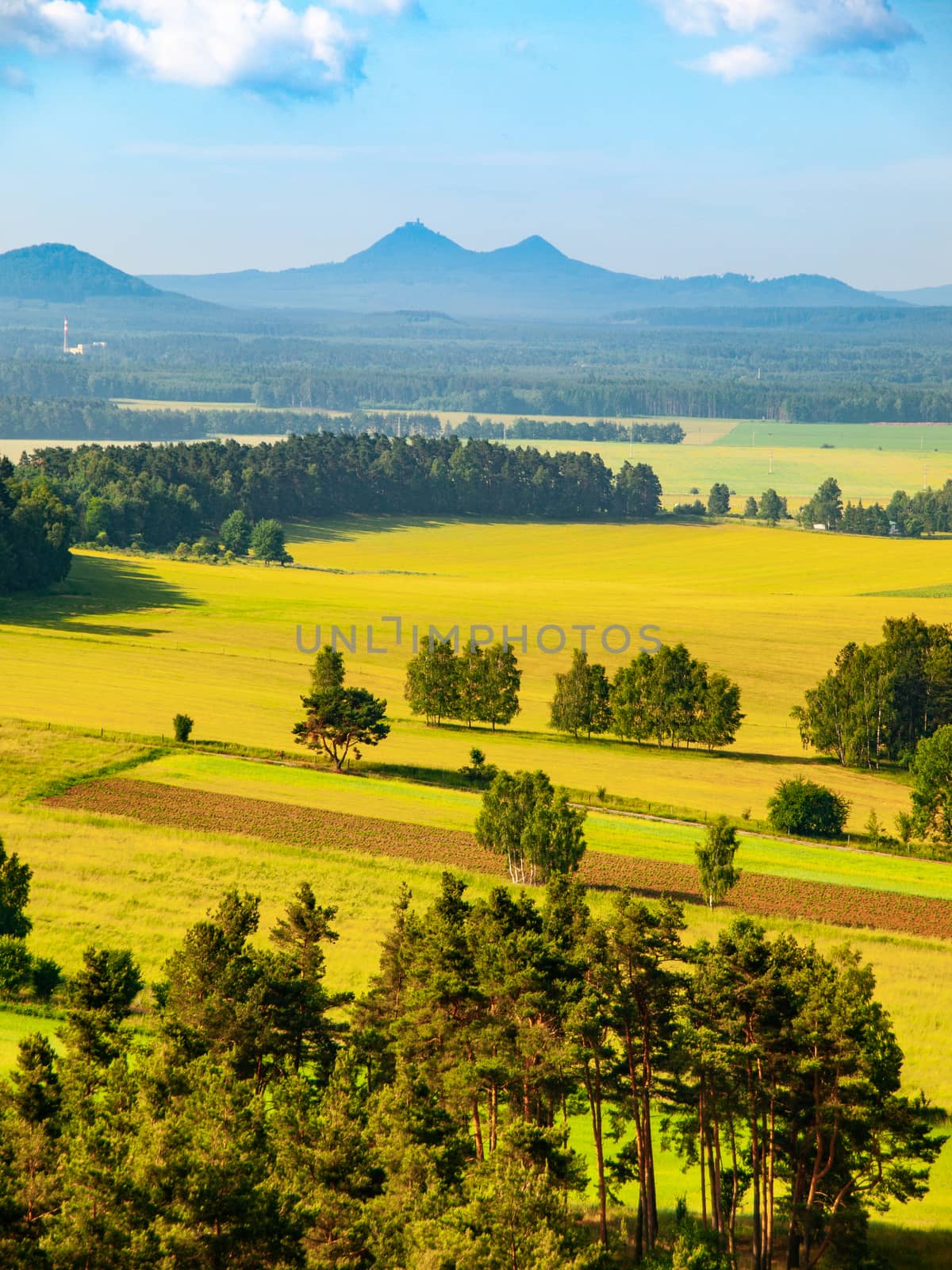 Landscape around Bezdez Castle on sunny summer day. Czech Republic by pyty