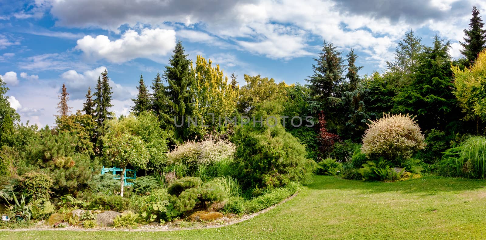 Beautiful colored summer garden, with conifer trees, green grass and evening sun. Gardening concept with blue sky