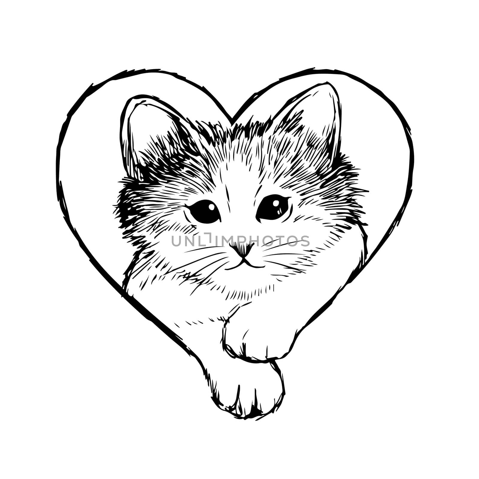 Little cat in heart frame hand drawn isolated on white background