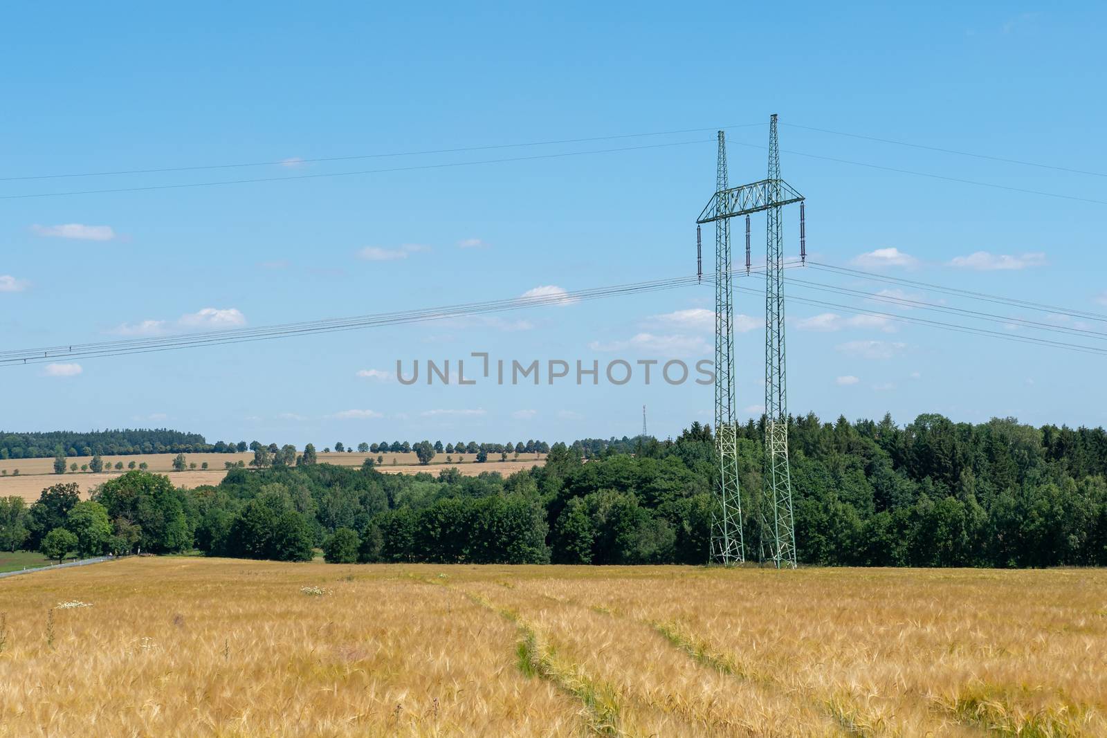 High voltage power lines above wheat field.