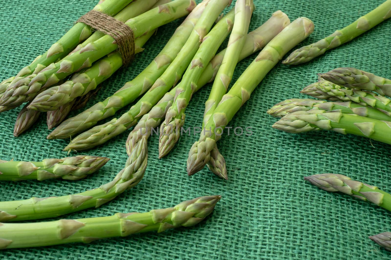 Raw garden asparagus stems. Fresh green spring vegetables on gre by xtrekx
