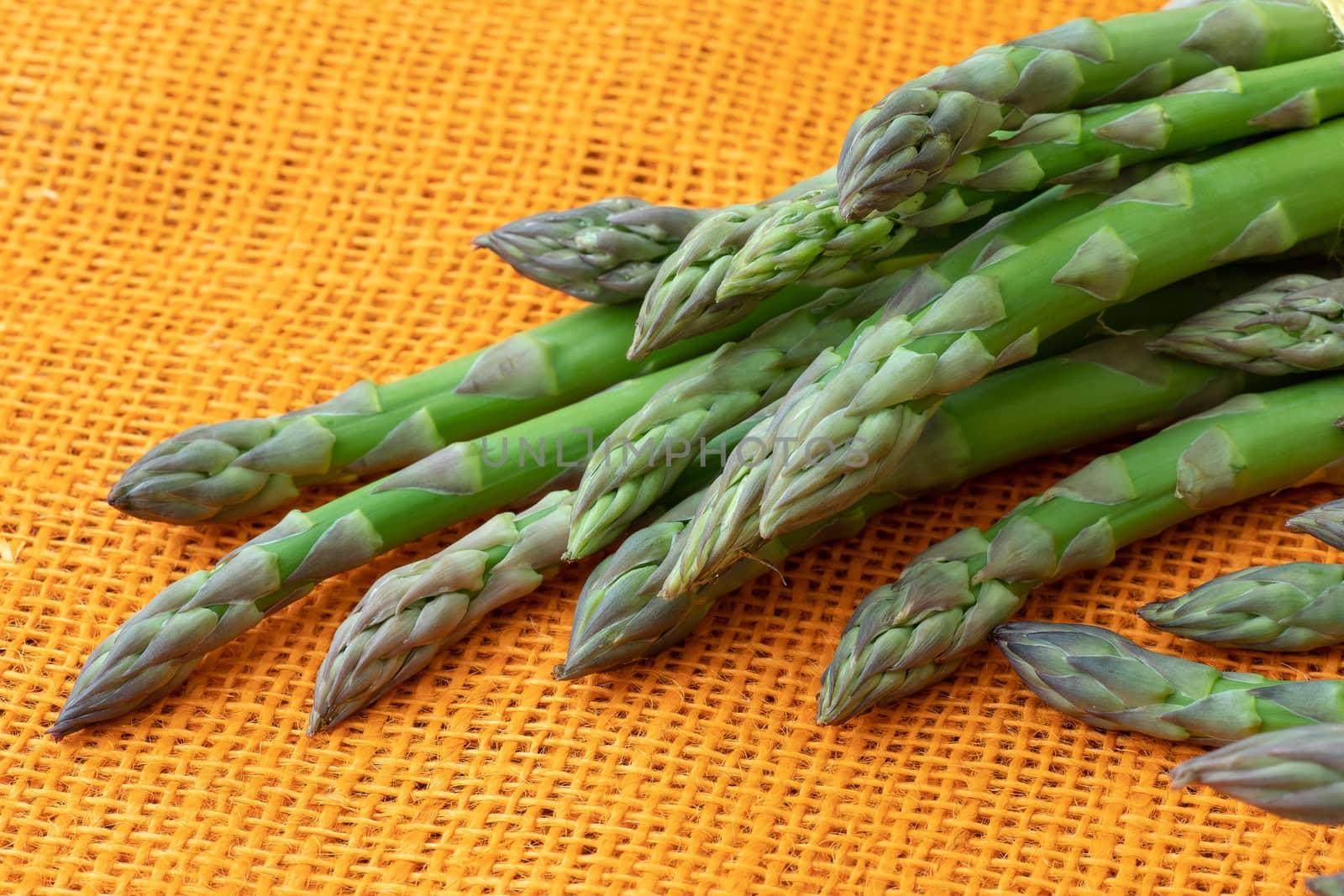 Fresh asparagus officinalis isolated on orange background. Raw garden asparagus stems.