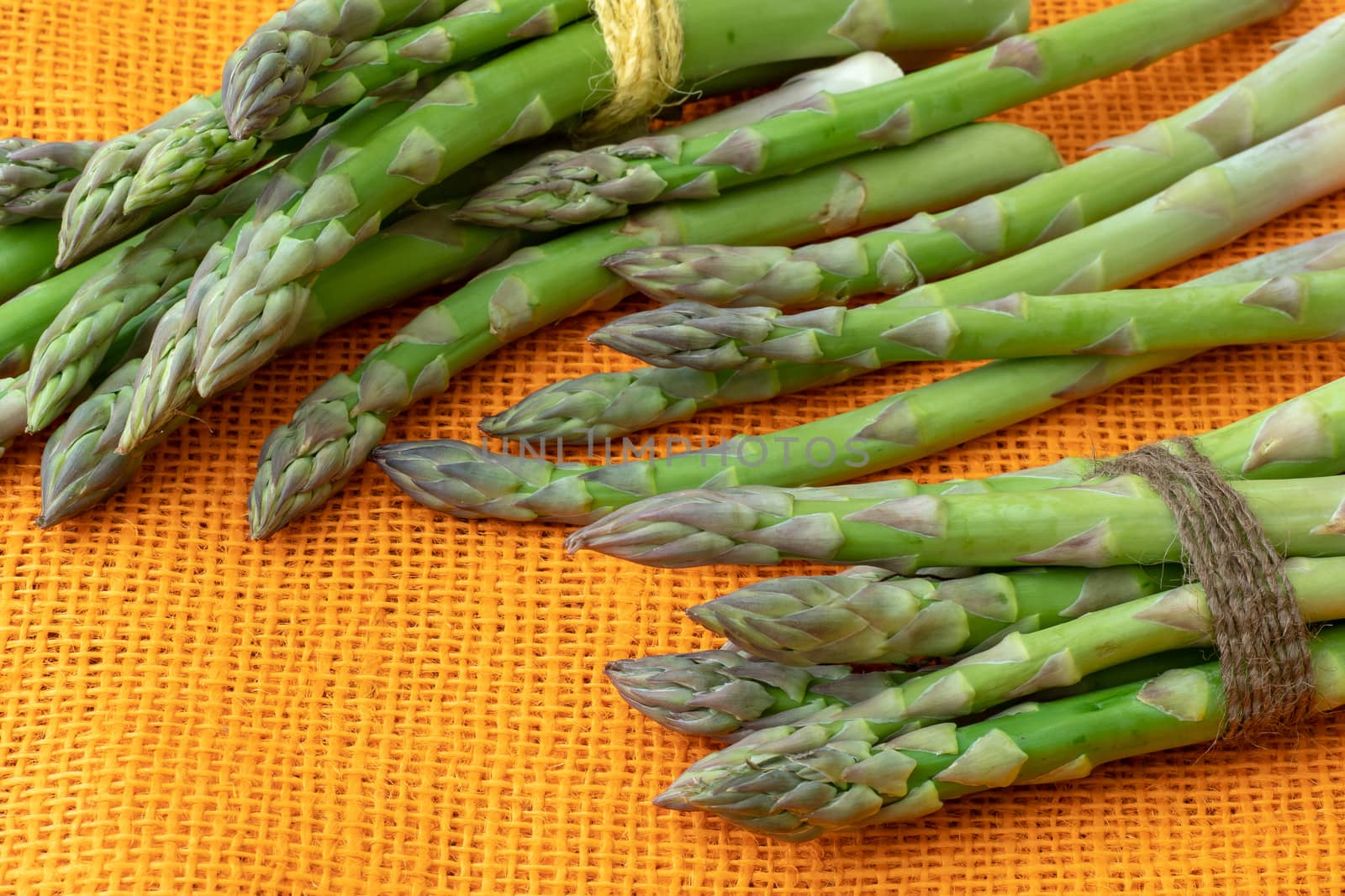Fresh asparagus officinalis isolated on orange background. Raw garden asparagus stems.