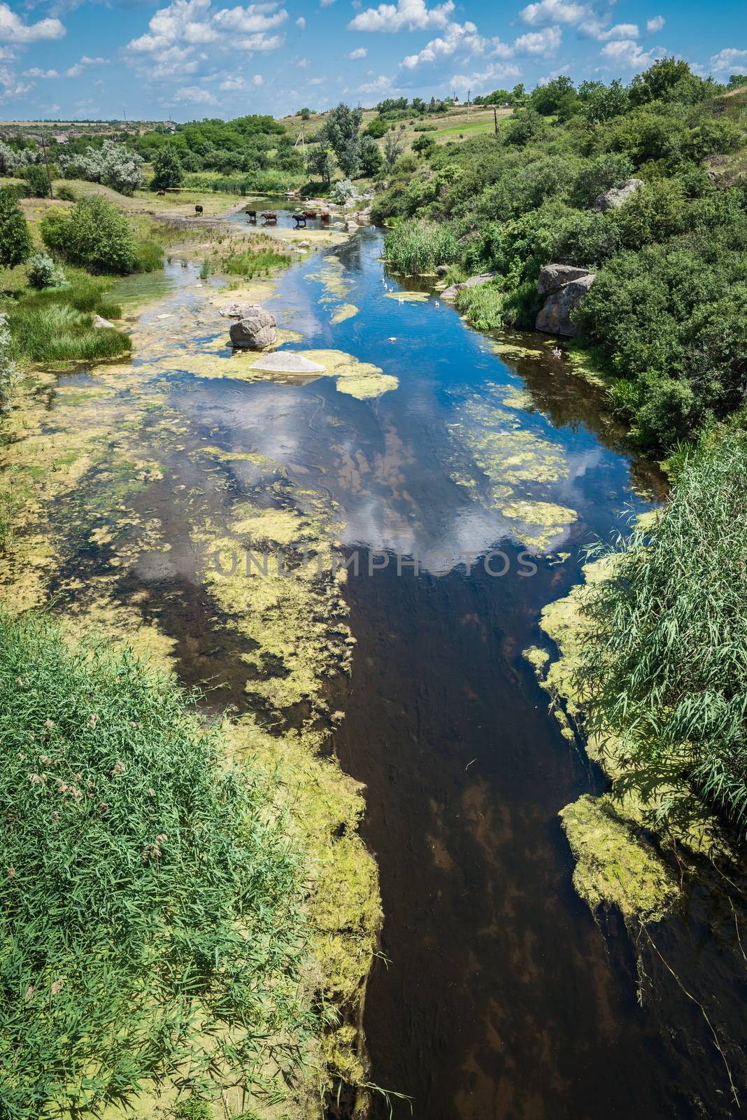 River in Aktovsky canyon, Ukraine. Big rocks in small river and  by Multipedia