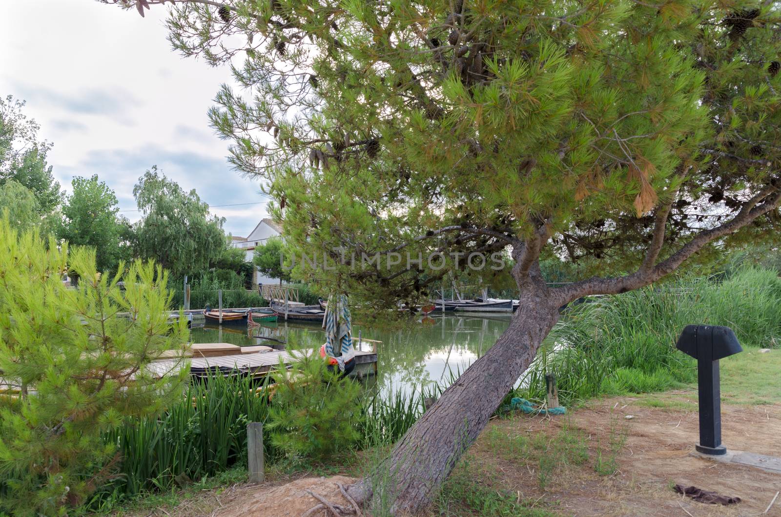 The Port of Catarroja is one of the main accesses to the Albufera. It has been a point of connection and union through navigation with other locations, at the time when the rest of the communications were insufficient.