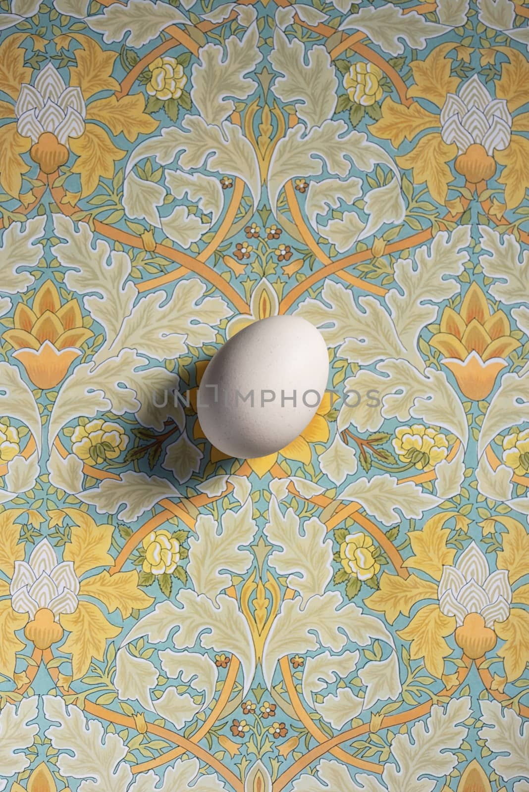 An Egg On A Colorful Pattern by mady70