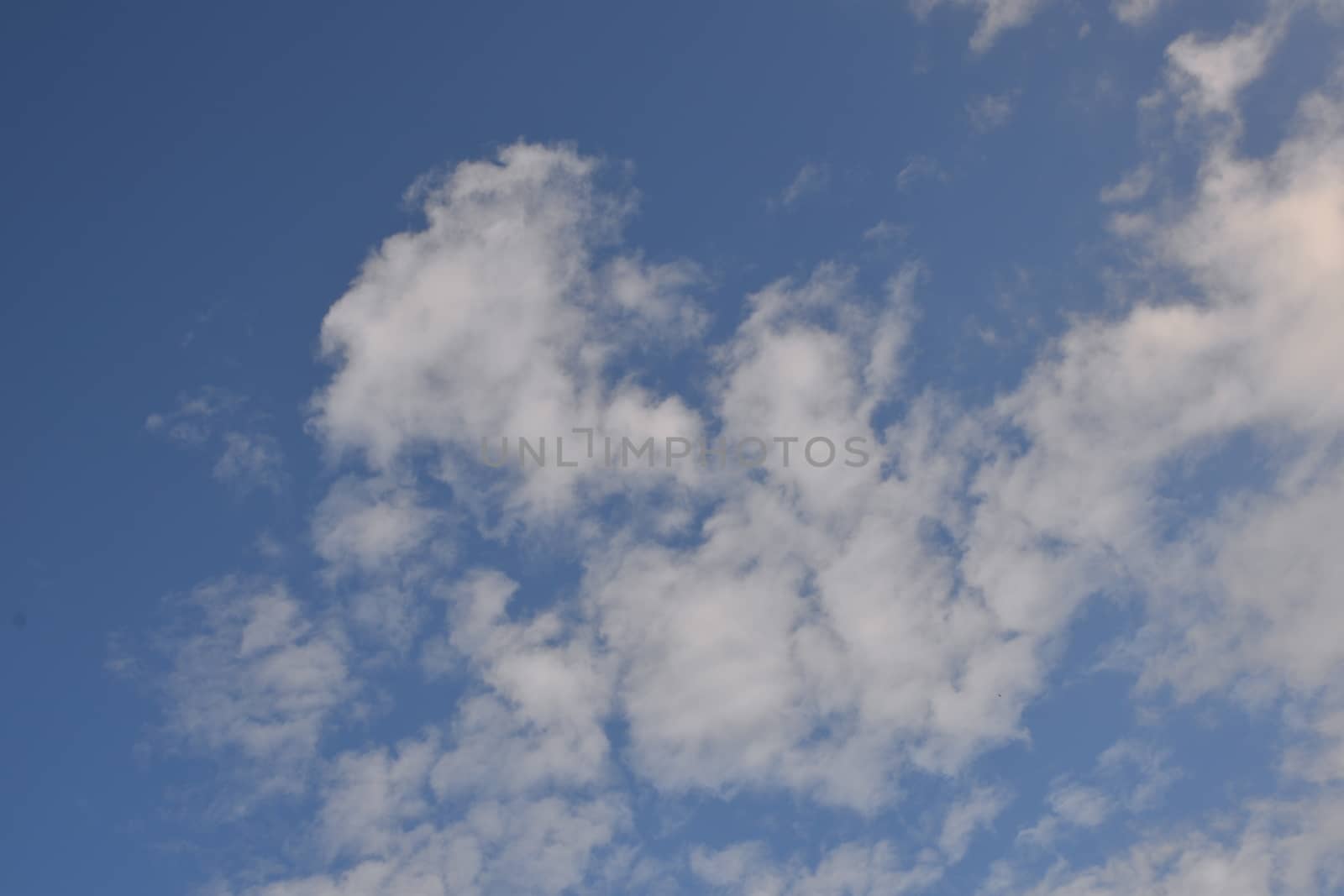 White Clouds in a clear blue sky