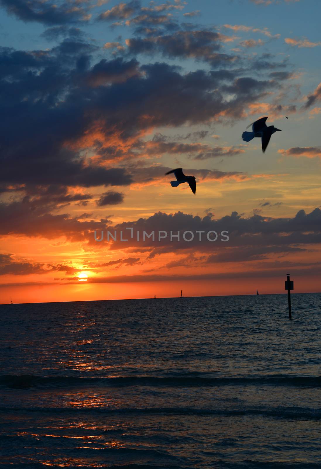 Sunset on beach by nikonite