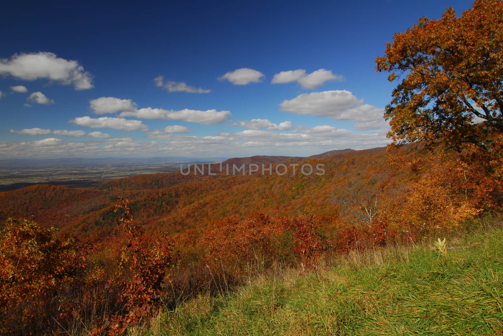 Fall Color Skyline Drive by nikonite