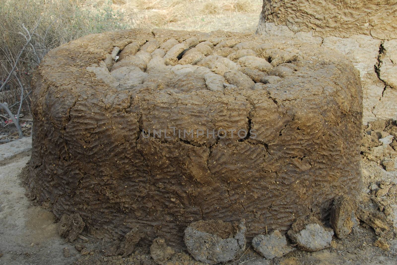 cow dung cake dried to use as fuel in india and other villages in asia
