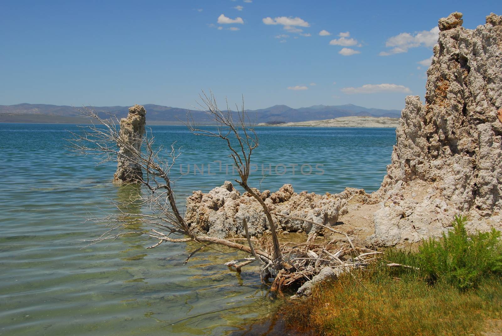 Tufas rocks made of calcium carbonate deposits at Mono Lake California,USA