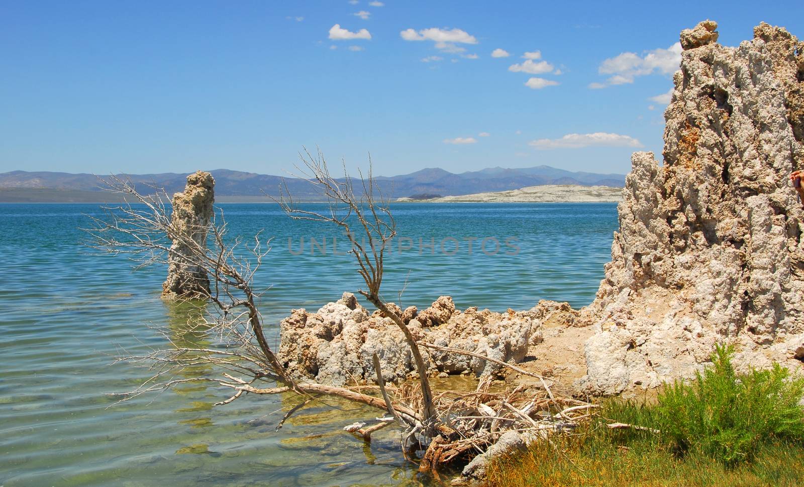 Tufas rocks made of calcium carbonate deposits at Mono Lake California,USA
