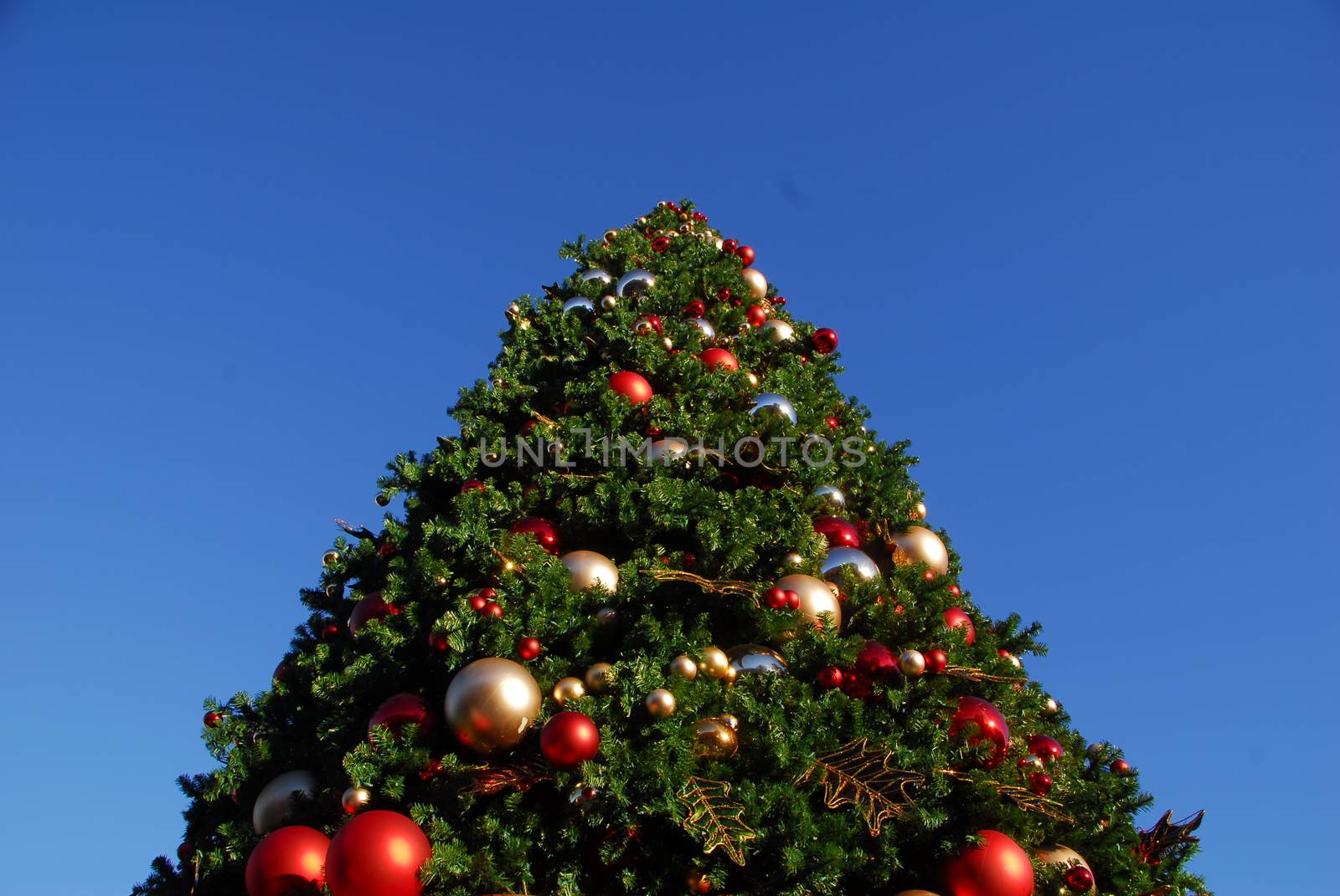 Big Christmas tree decorated with baubles and ornaments