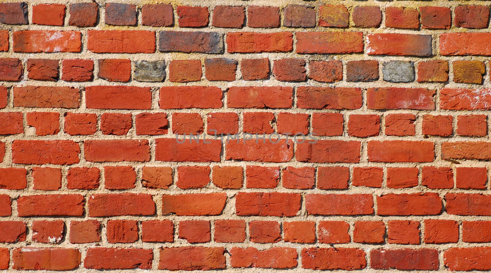 brown brick wall by nikonite